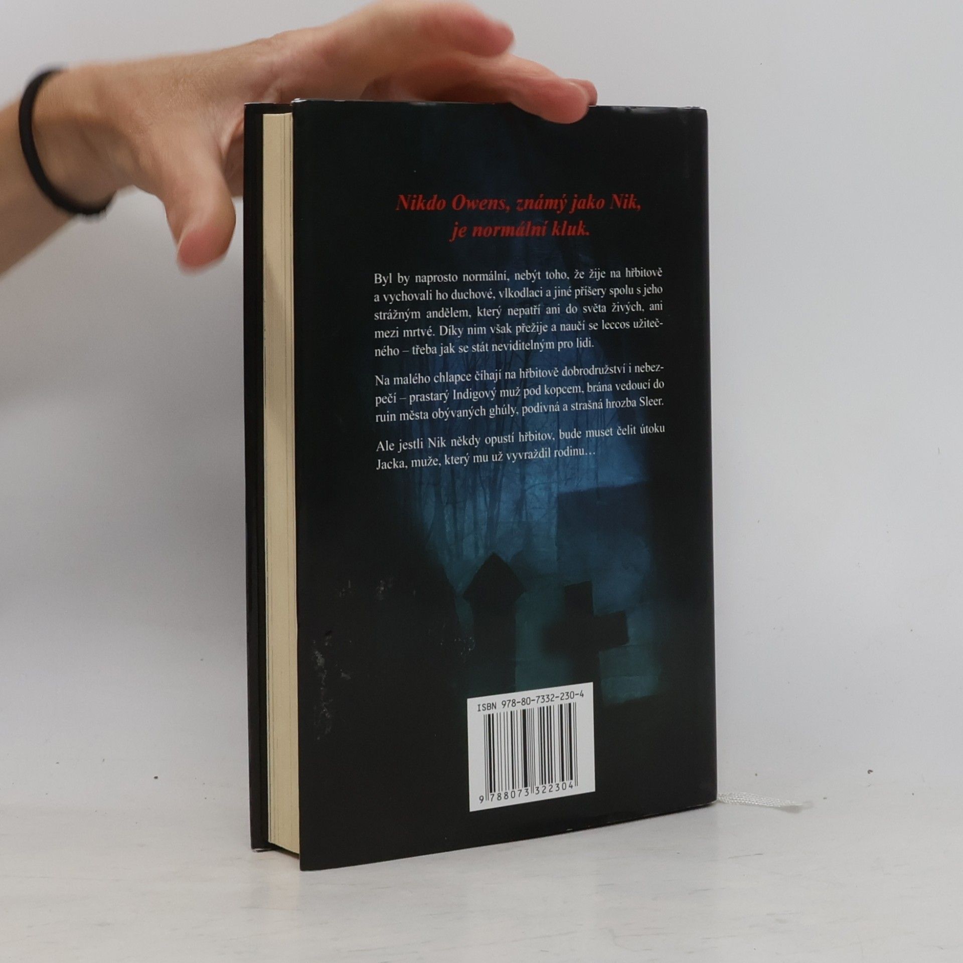 Neil Gaiman Kniha hřbitova