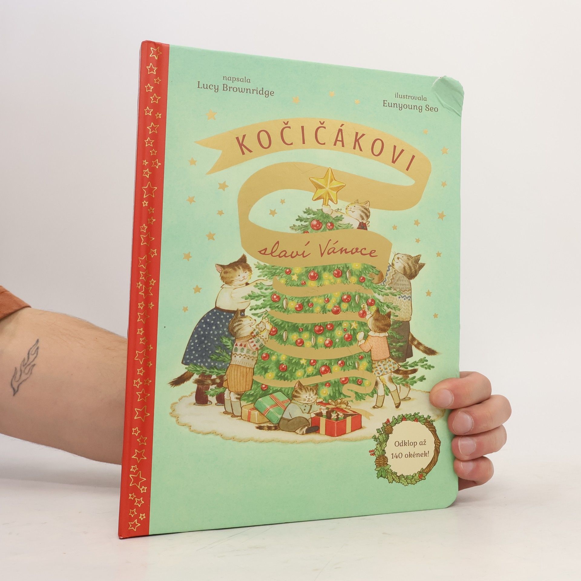 Lucy Brownridge Kočičákovi slaví Vánoce