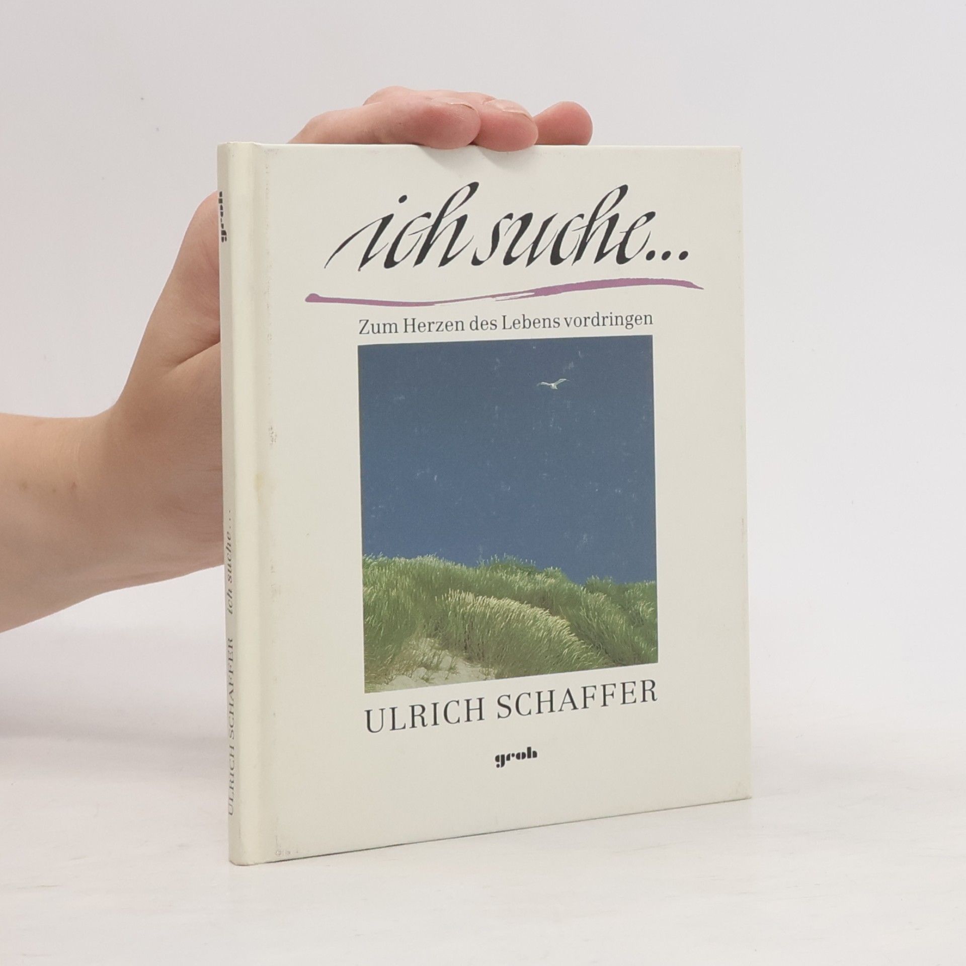 Ulrich Schaffer Ich suche ...