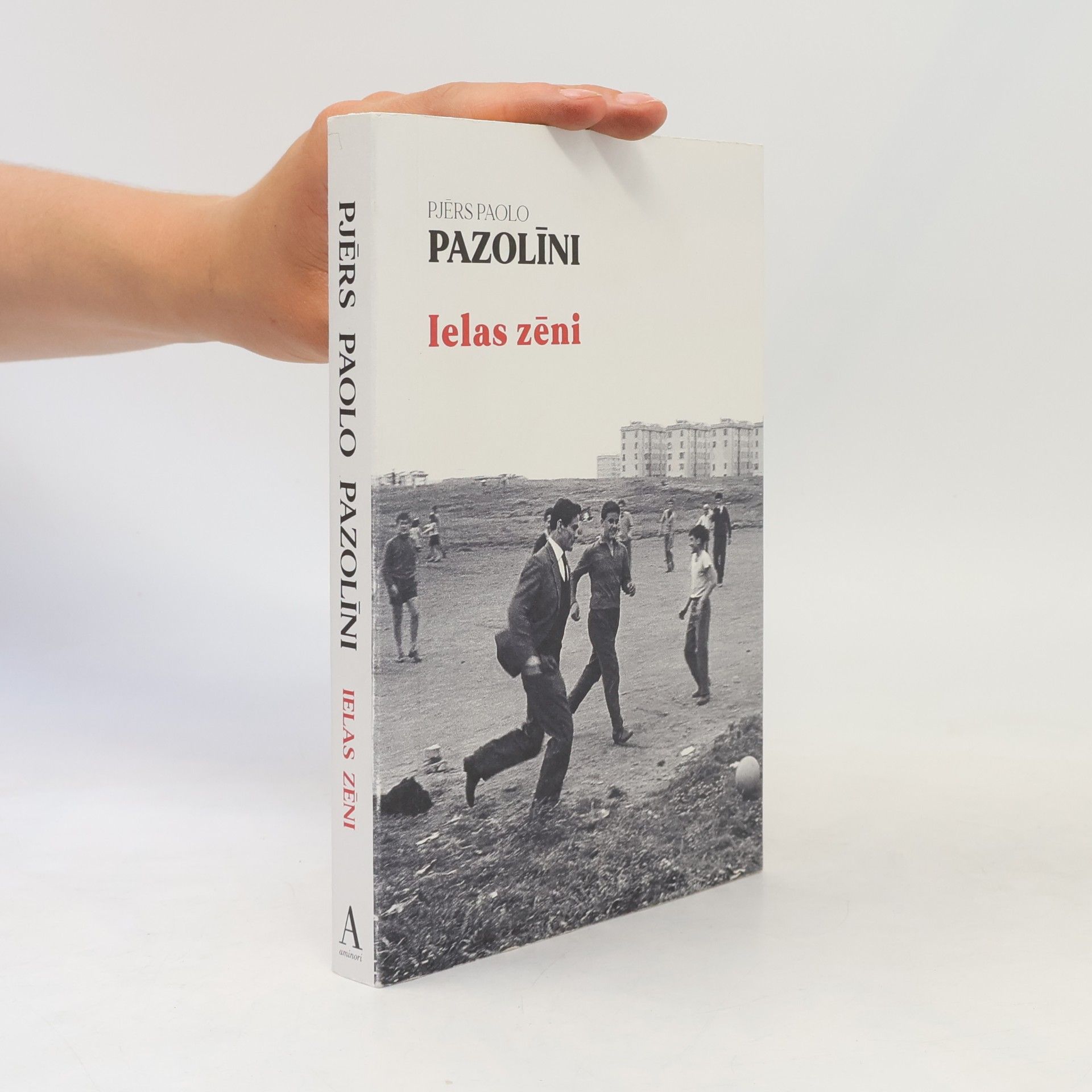 Līva Trektere Ielas zēni