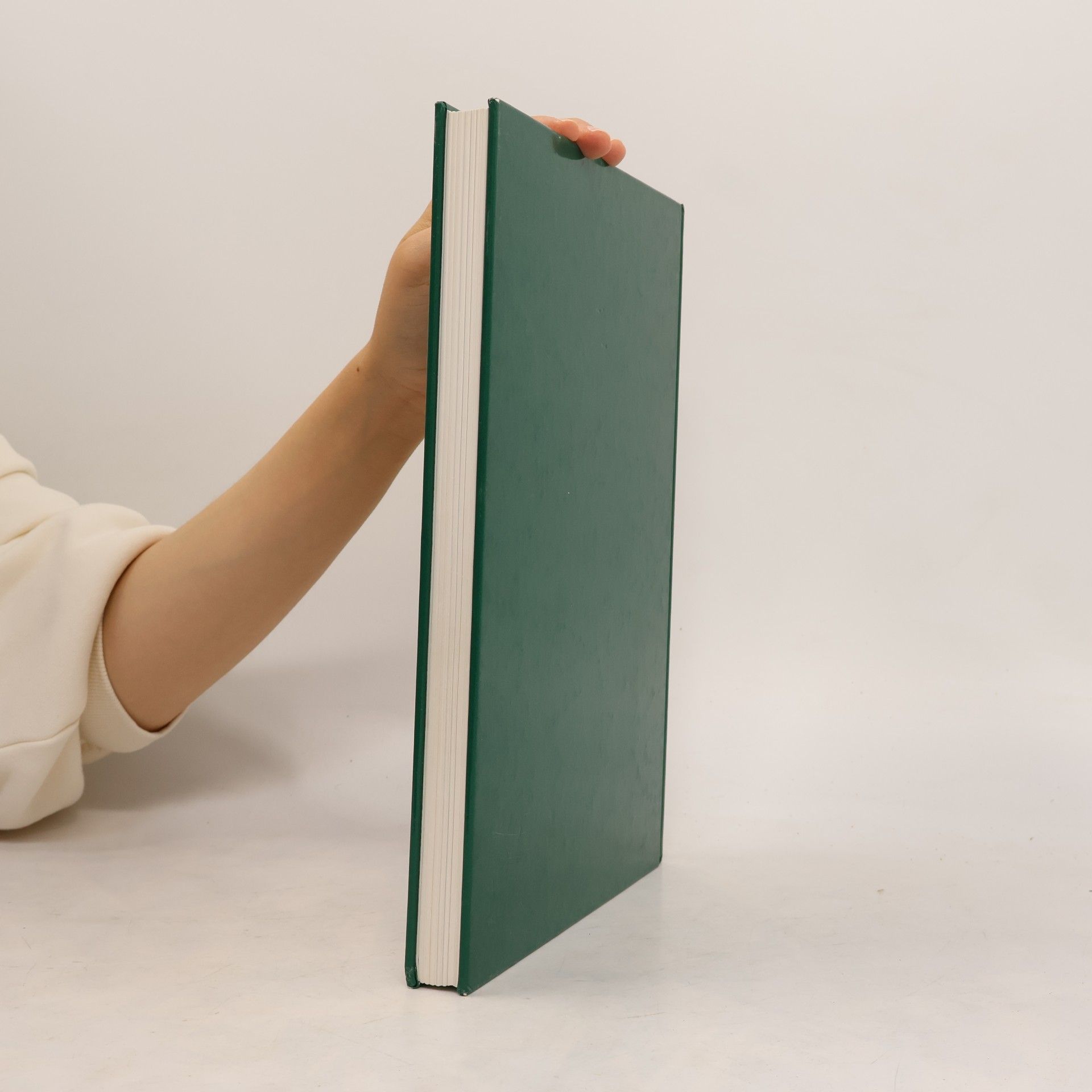 Autorenkollektiv Das große Weihnachtsbuch