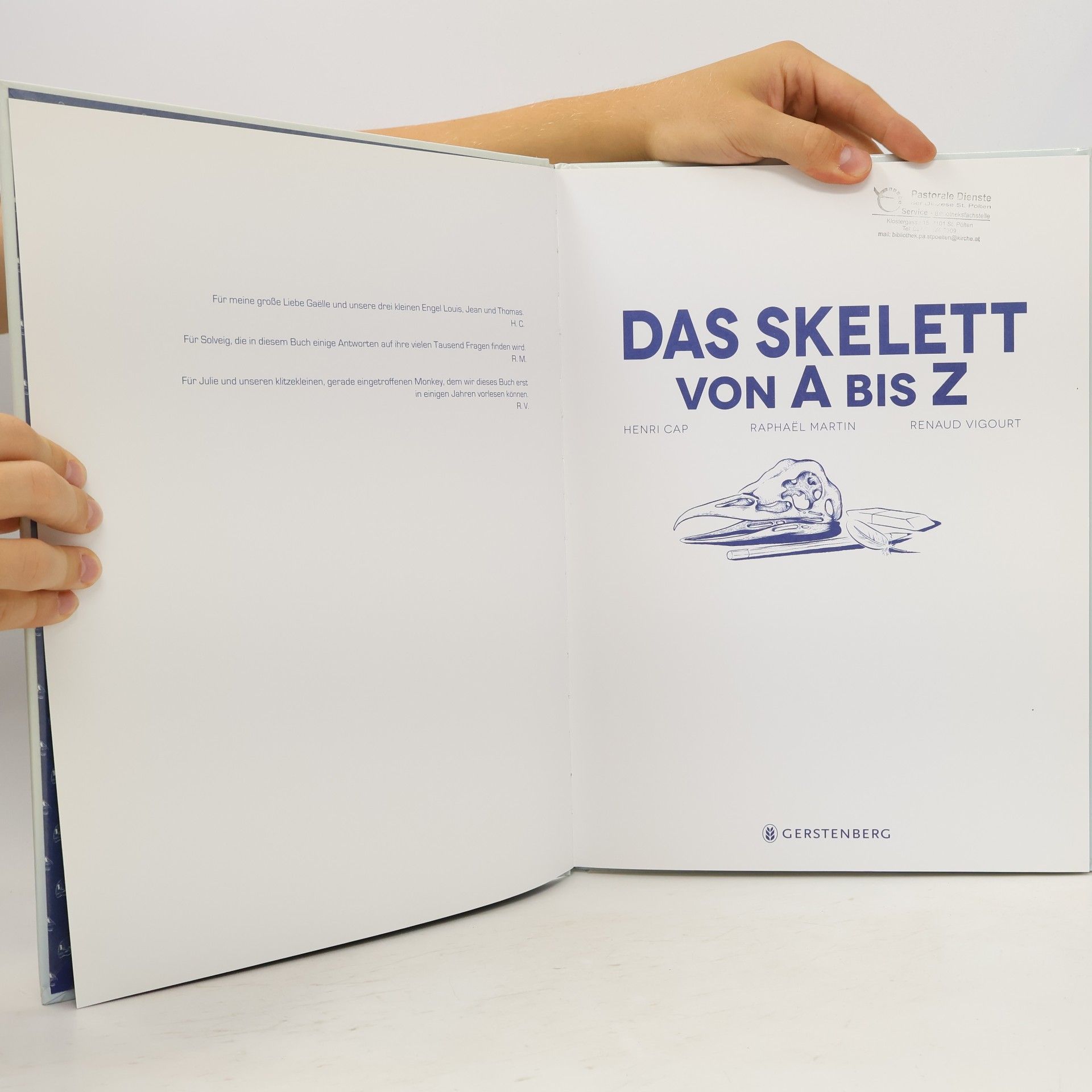 Henri Cap Das Skelett von A bis Z