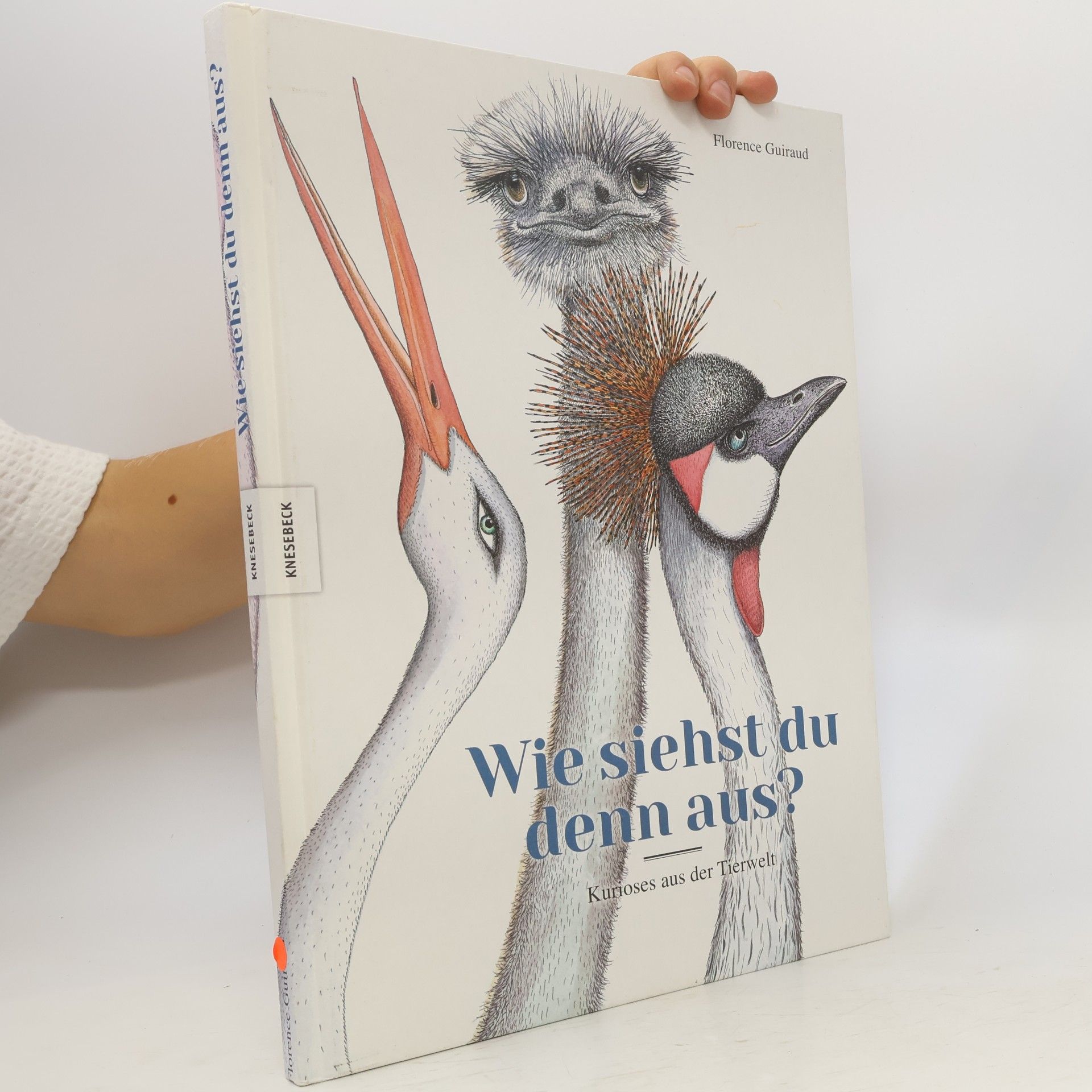 Wie siehst du denn aus?