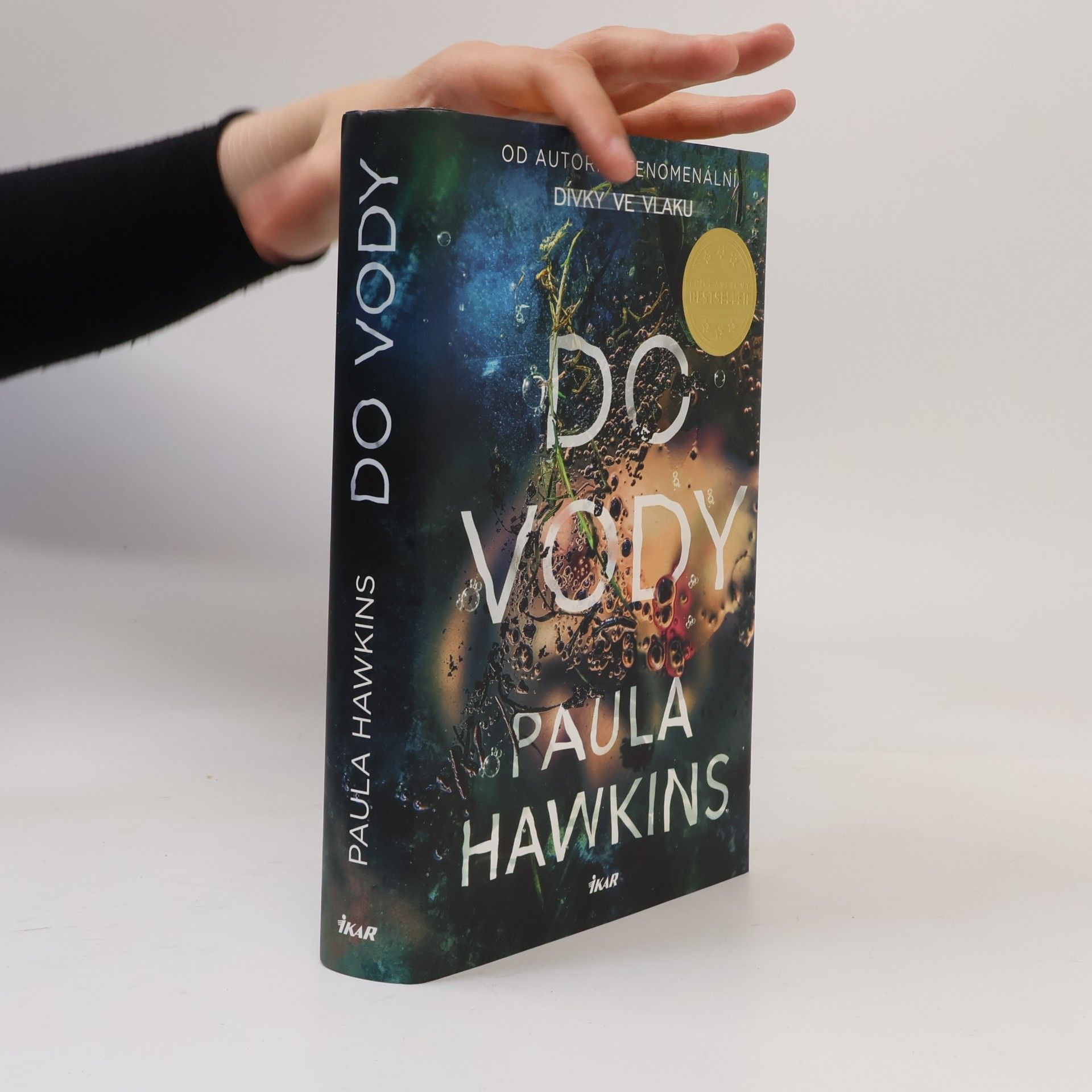 Paula Hawkins Do vody