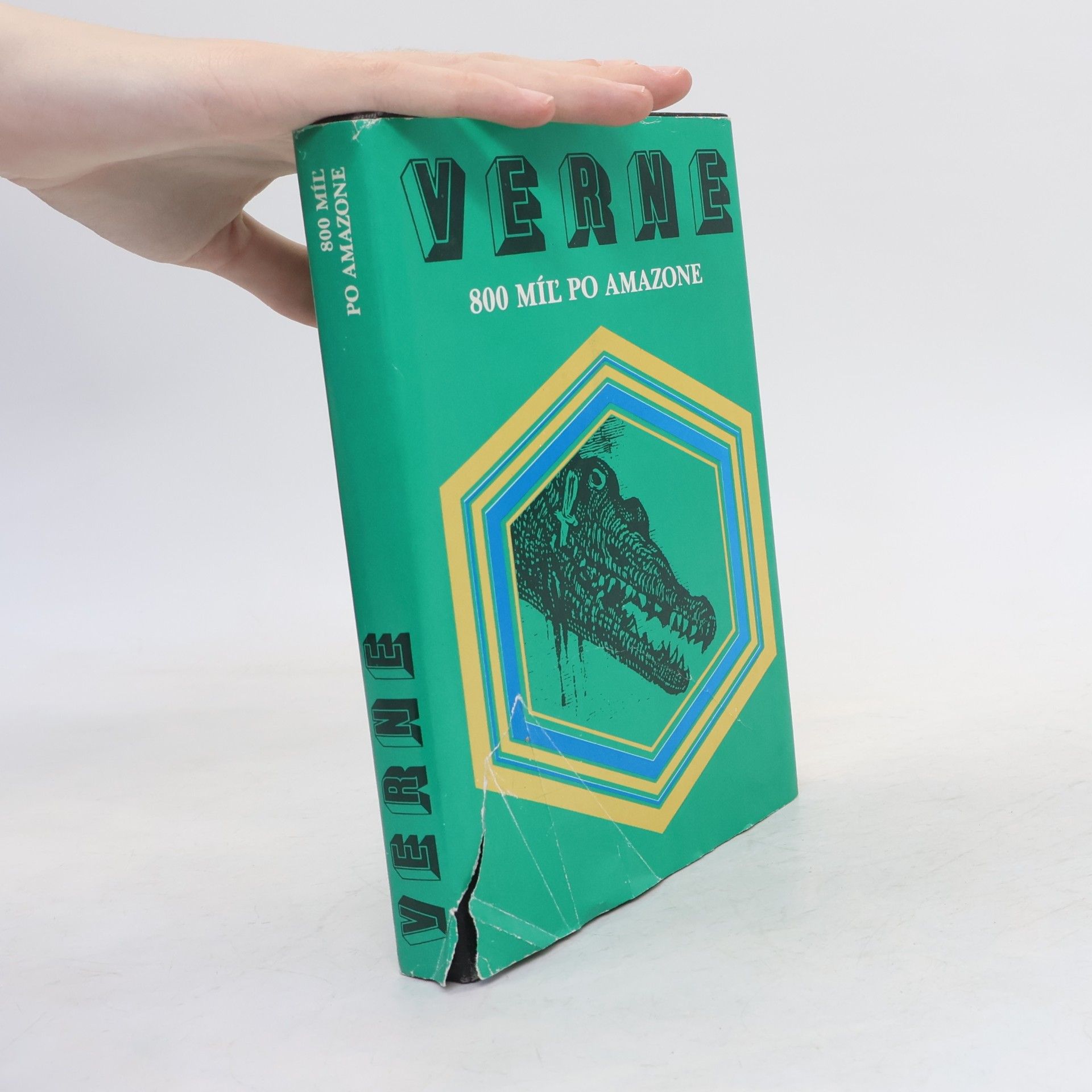 Jules Verne 800 míľ po Amazone