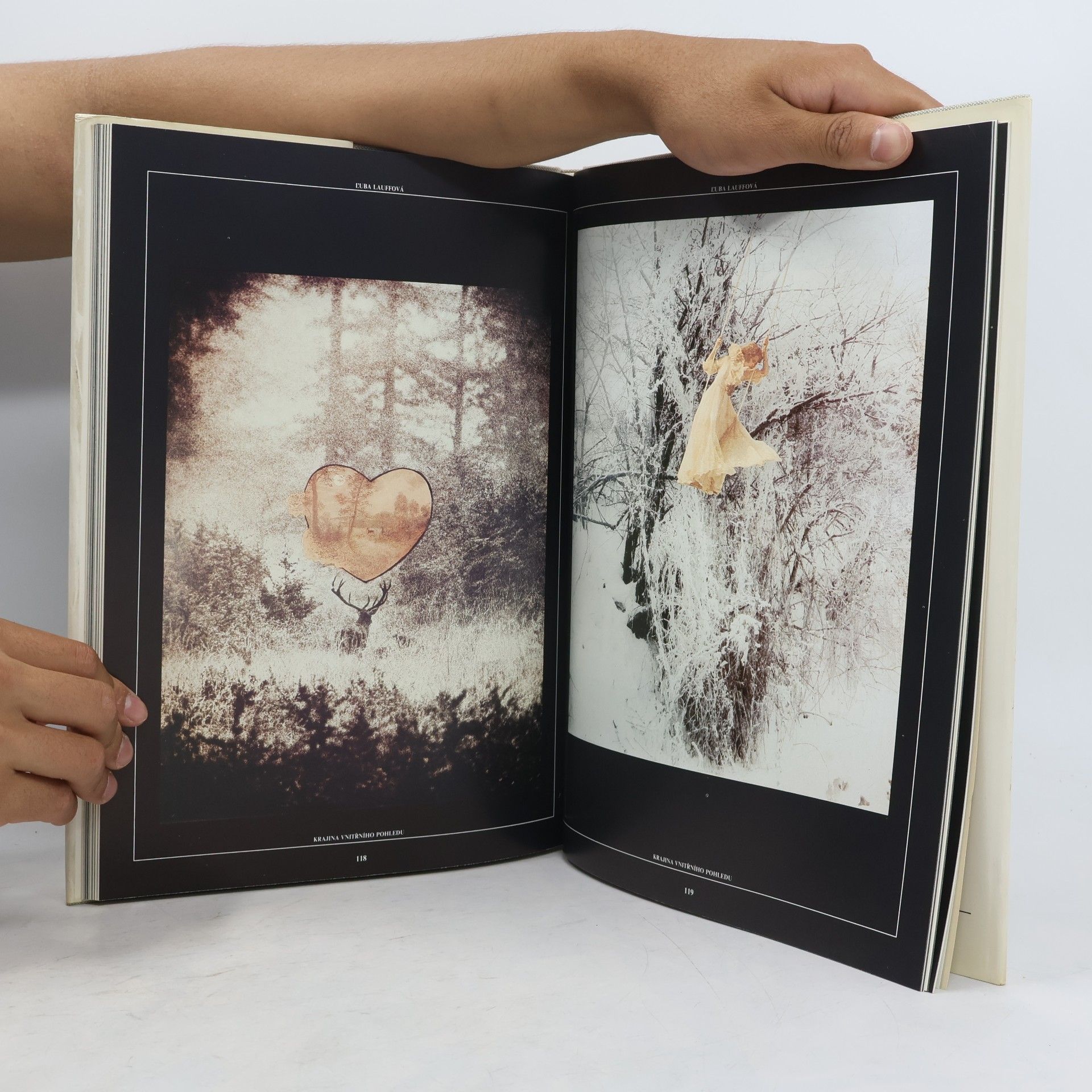 Libuše Palečková Jakou barvu má domov