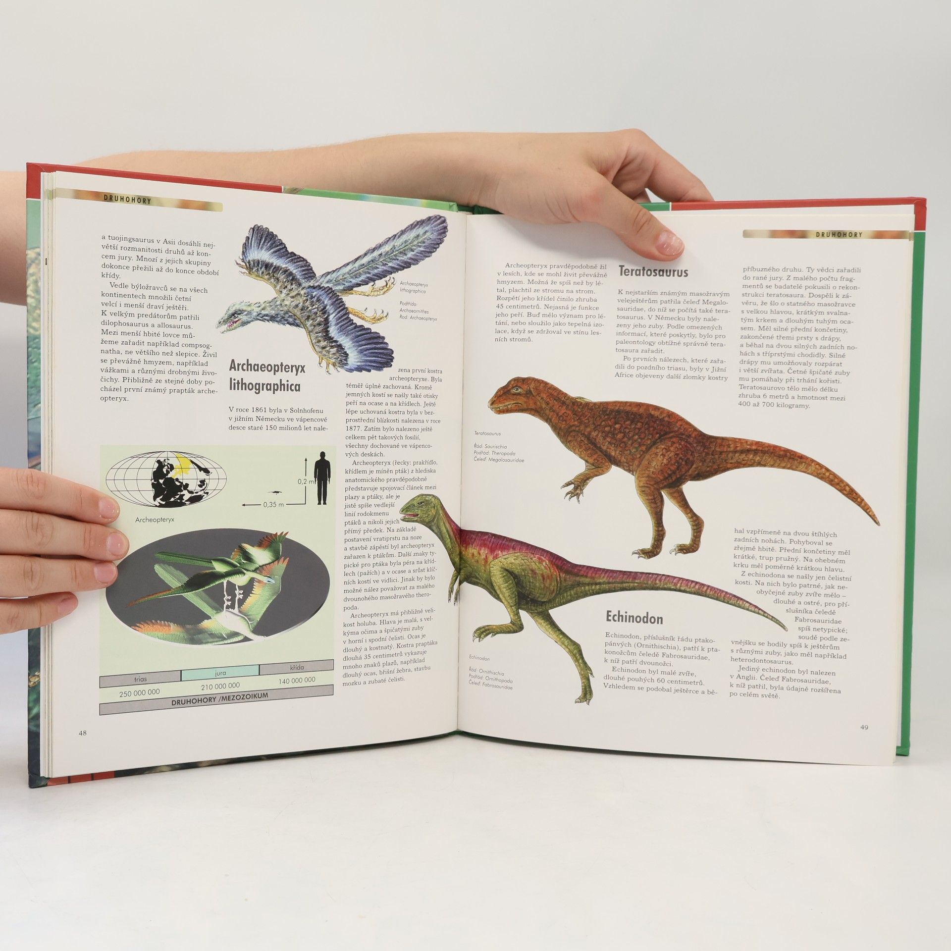 Autorenkollektiv Dinosauři