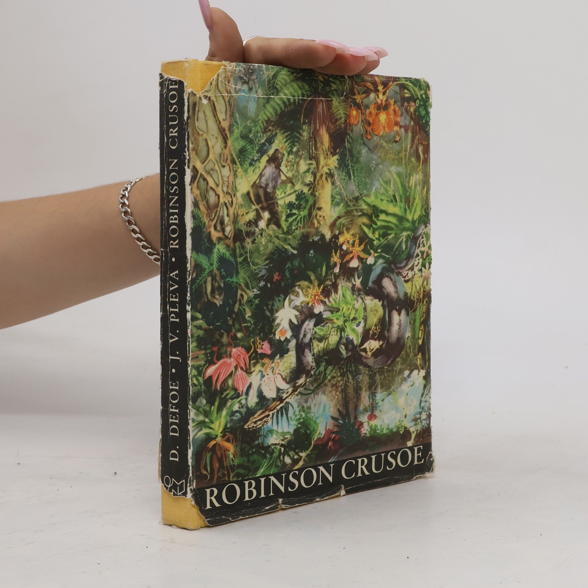 Daniel Defoe Robinson Crusoe