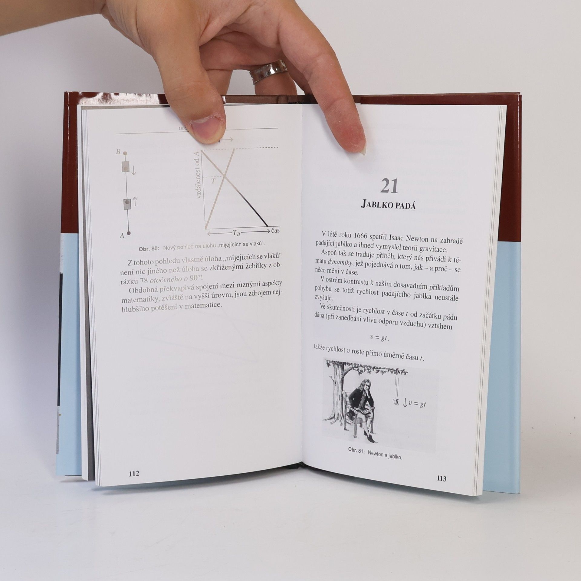 David Acheson Duch matematiky: Algebra a další lahůdky