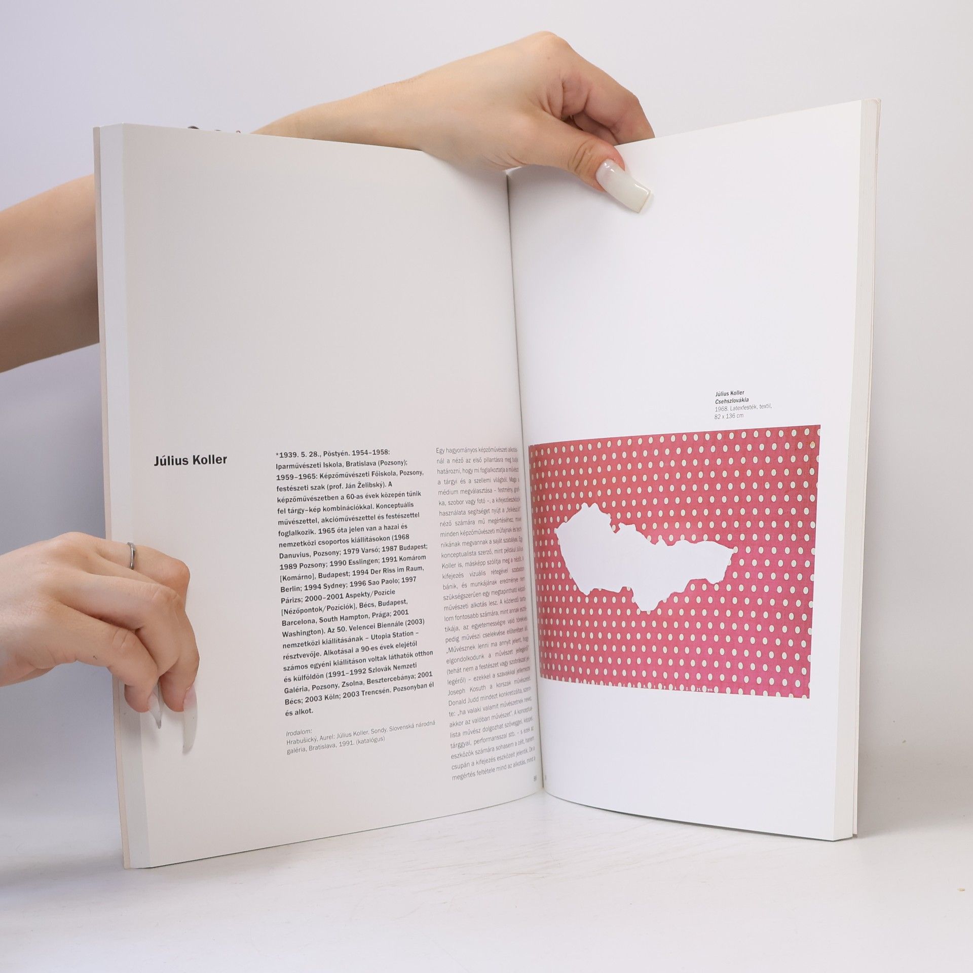 Collectif d'auteurs Kortárs szlovák művészet 1960-2000
