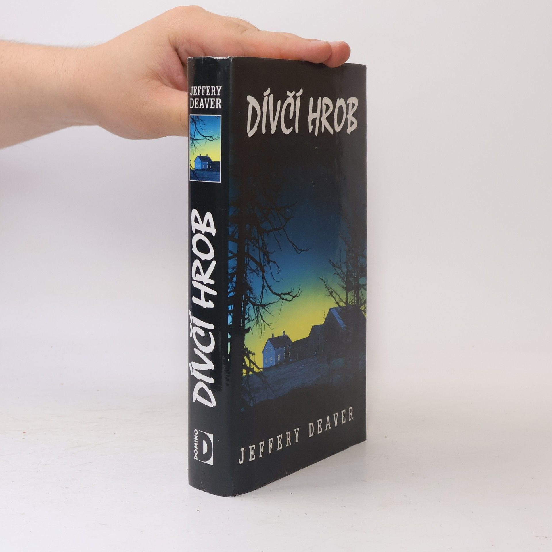 Jeffery Deaver Dívčí hrob