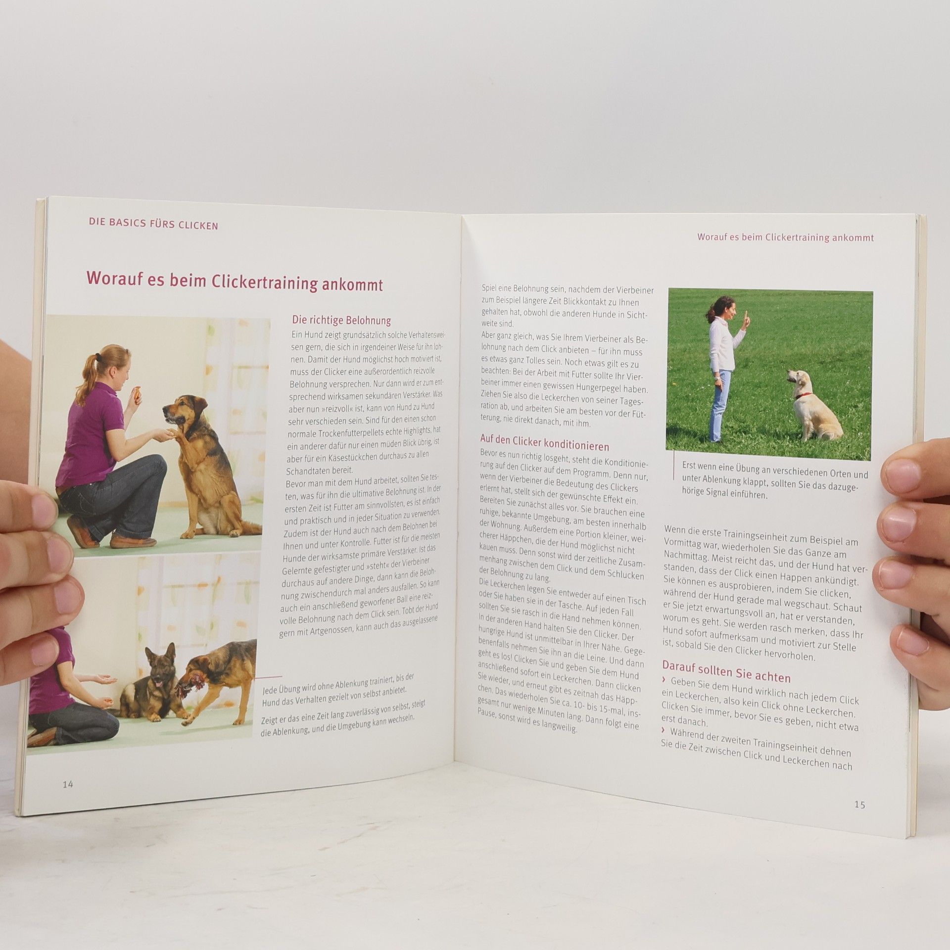 Katharina Schleg Kofler Hunde-Clickertraining