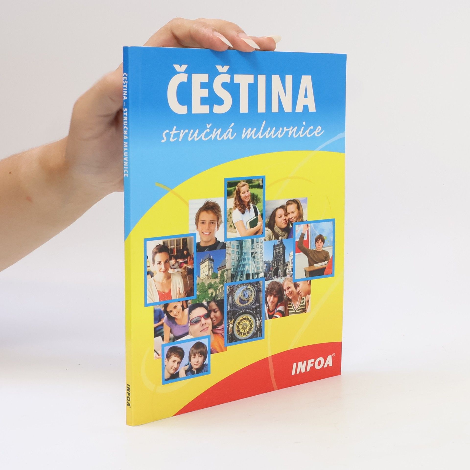 Čeština. Stručná mluvnice