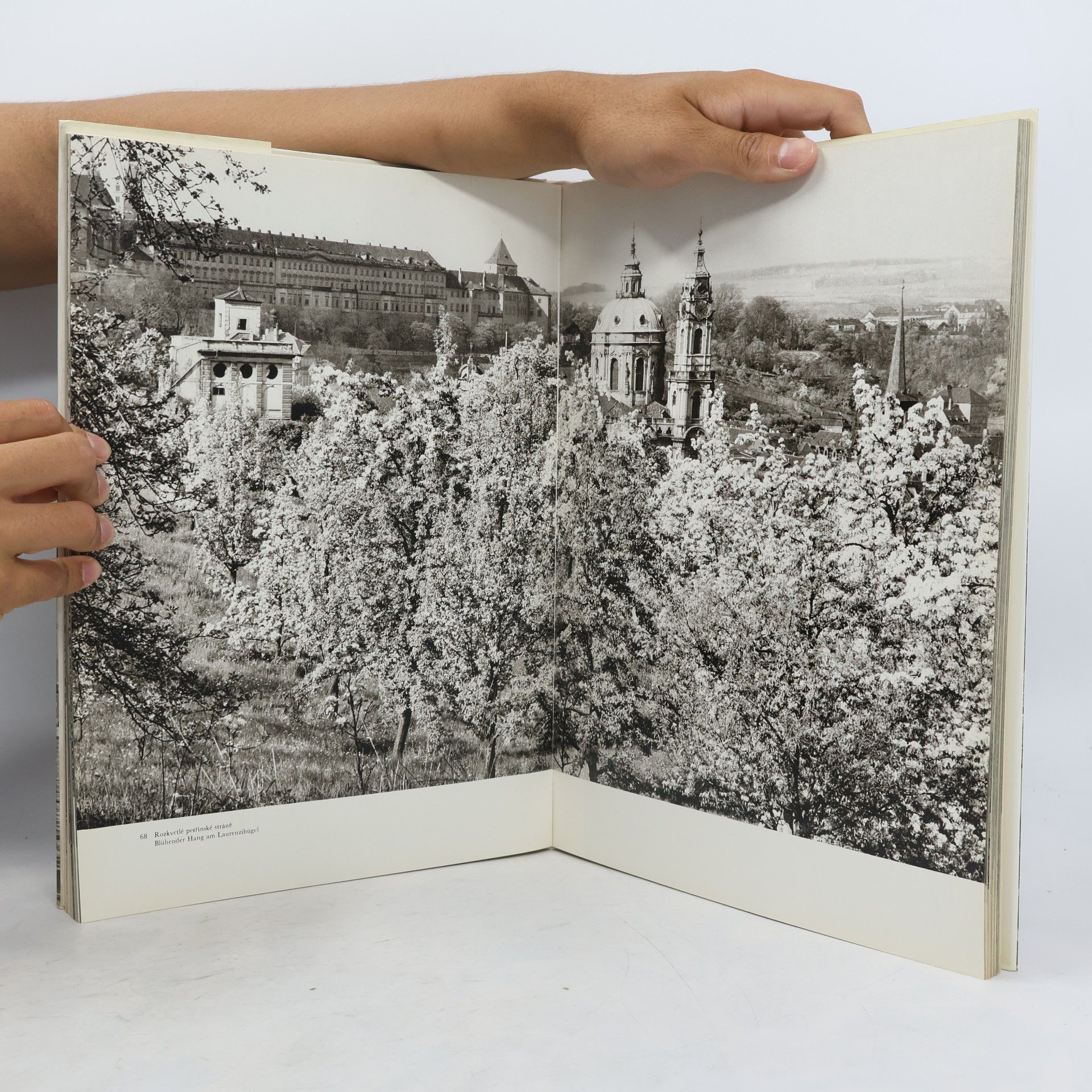 Karel Plicka Praha ve fotografii