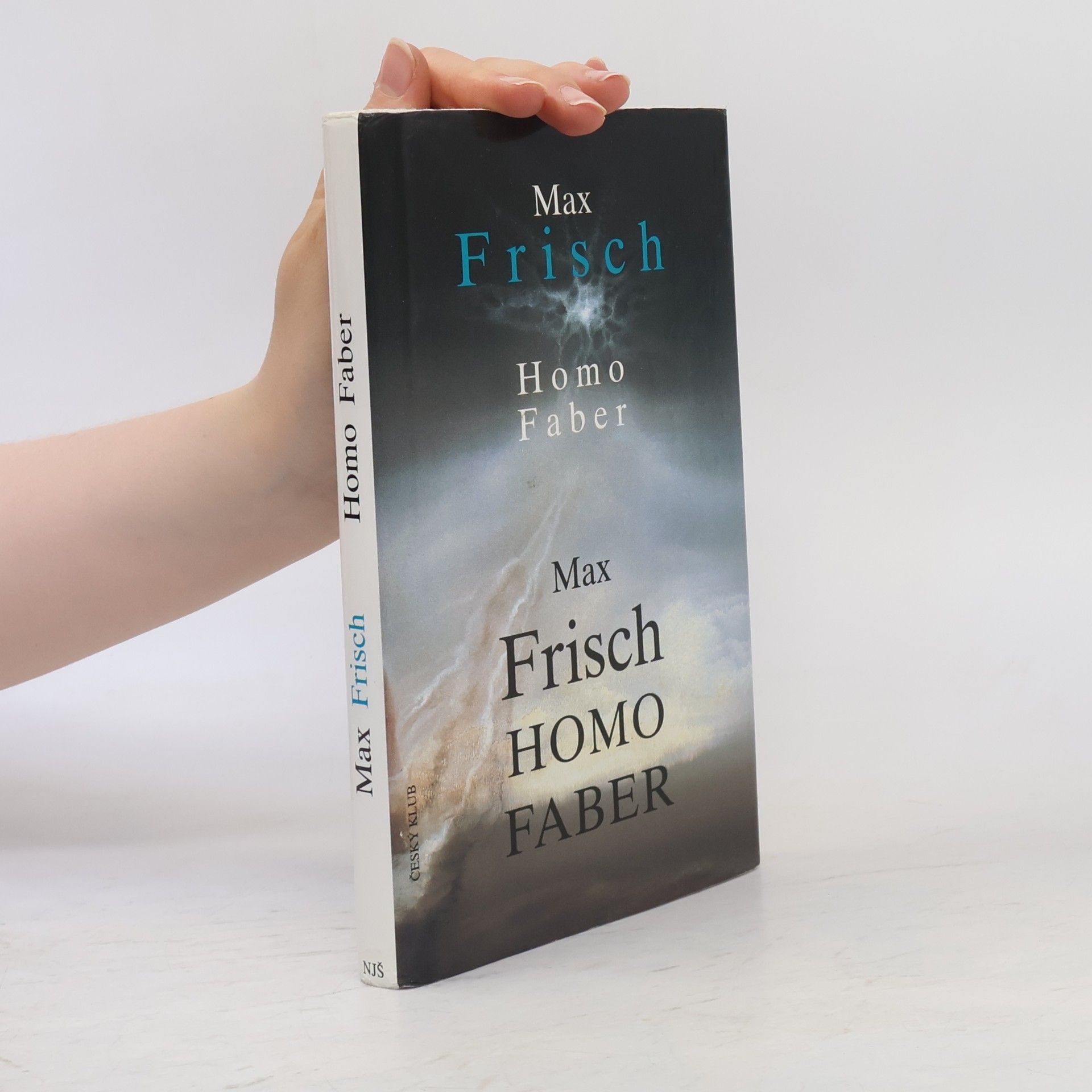 Max Frisch Homo Faber