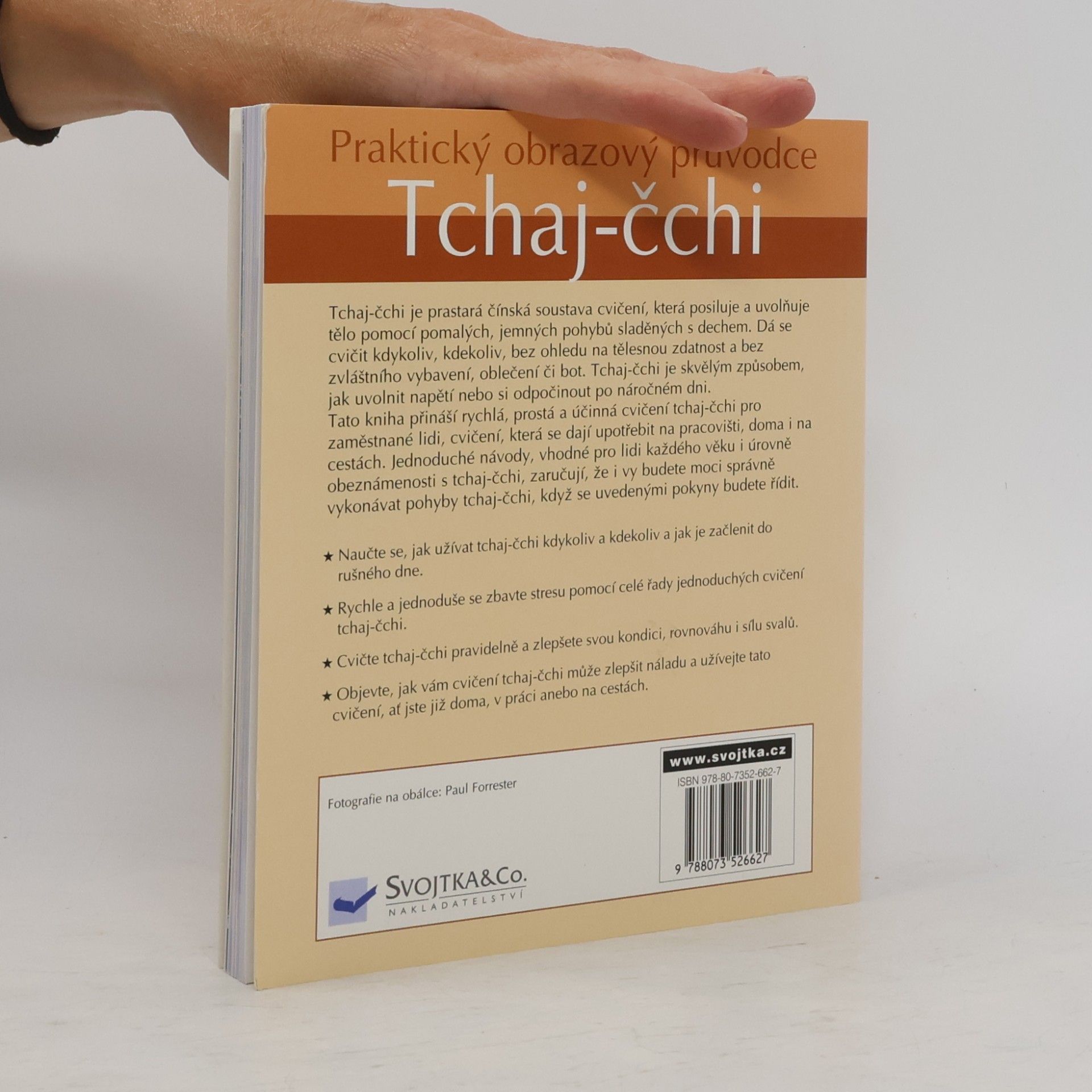 Tin Yu Lam Tchaj čchi - praktický obrazový průvodce