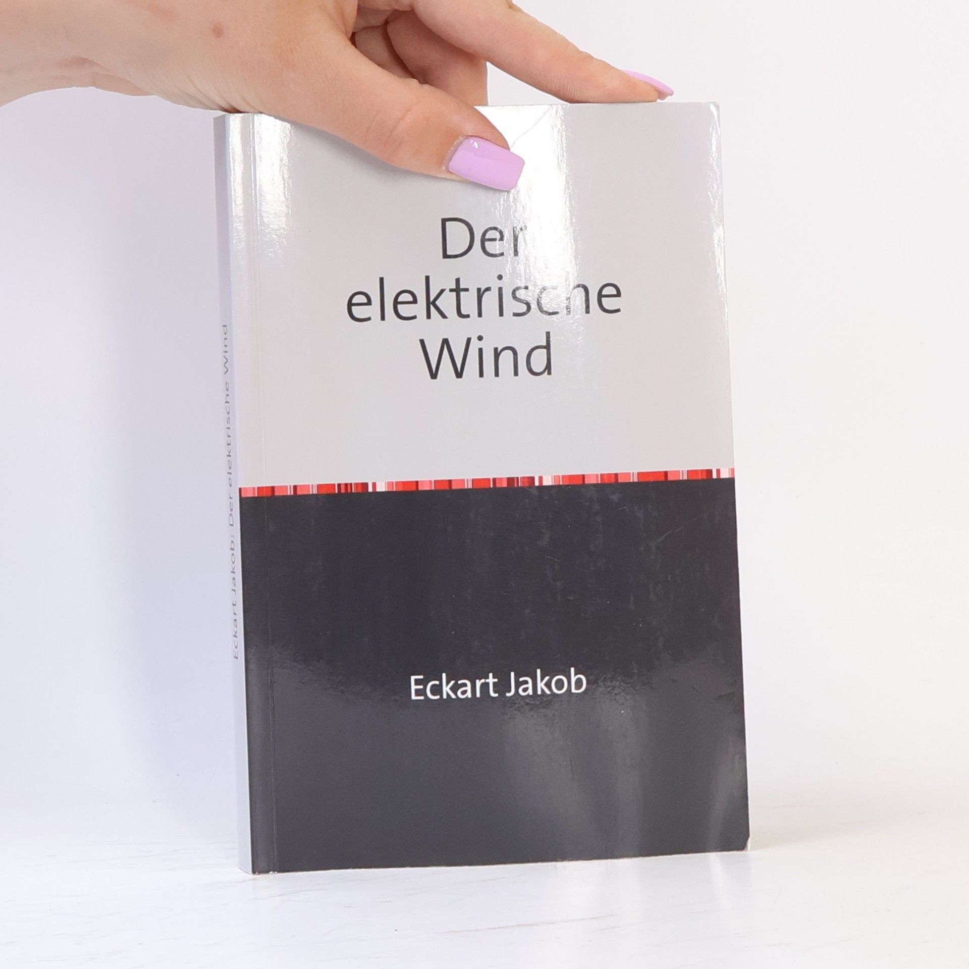 Eckart Jakob Der elektrische Wind