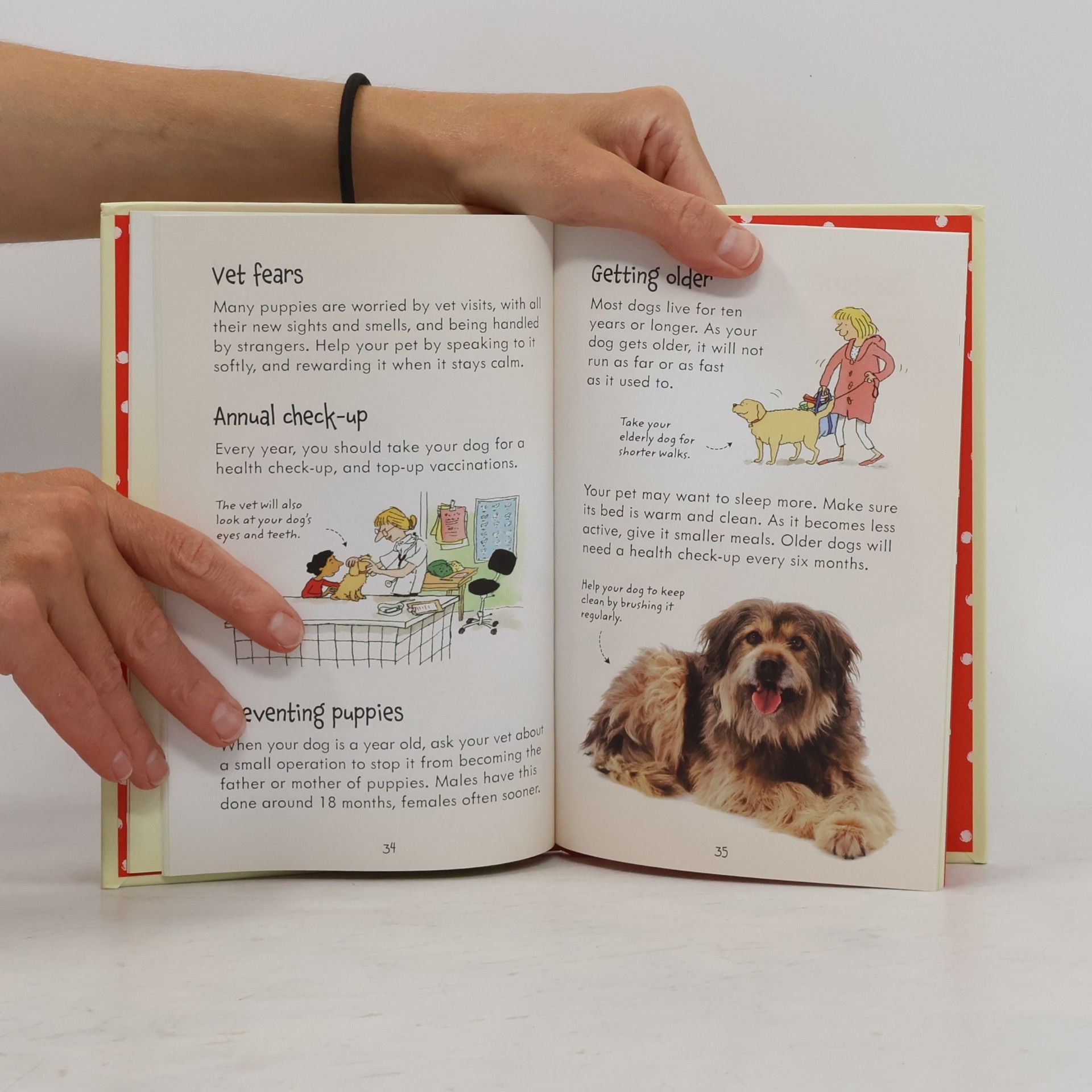 Katherine Starke Looking after Dogs and Puppies
