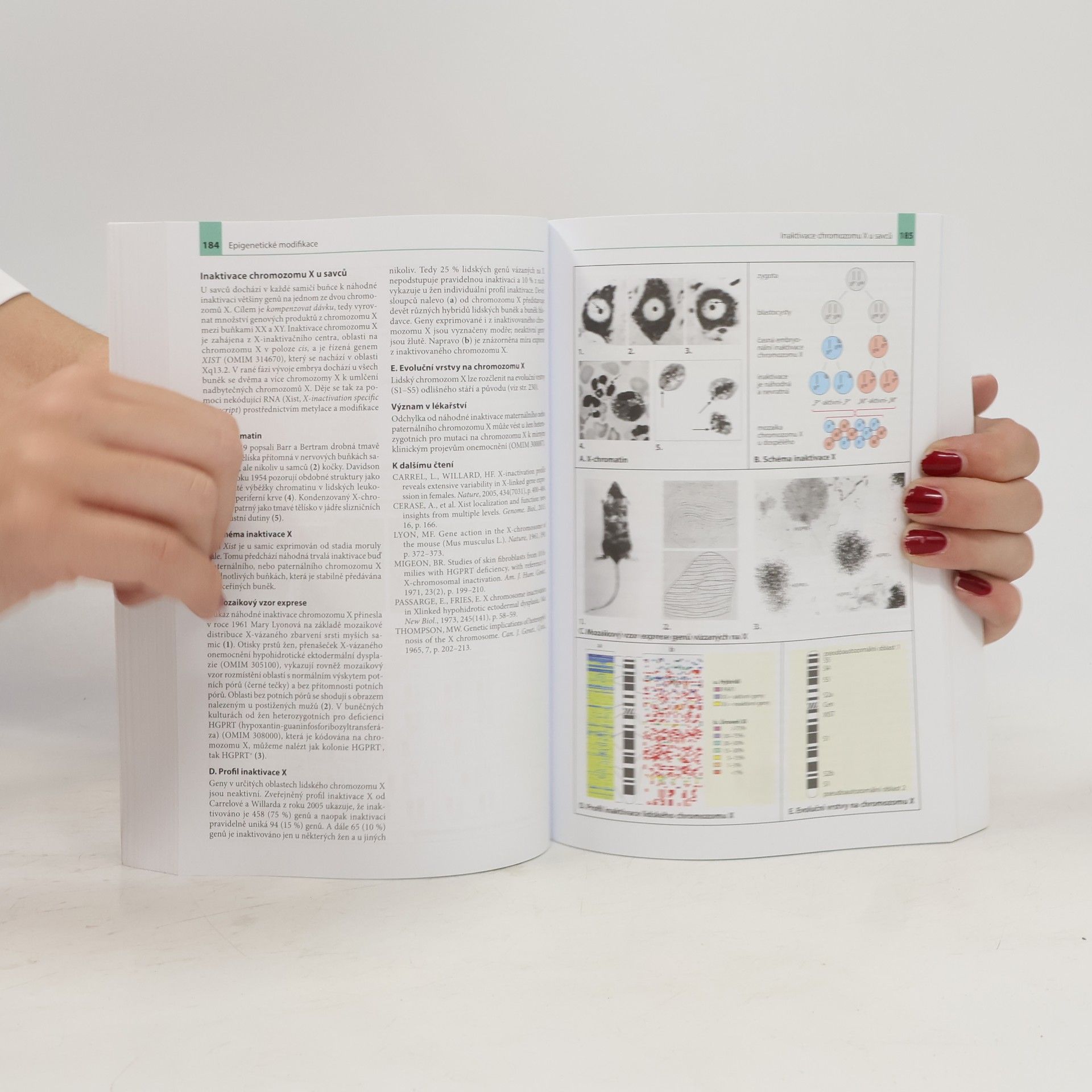 Eberhard Passarge Barevný atlas genetiky