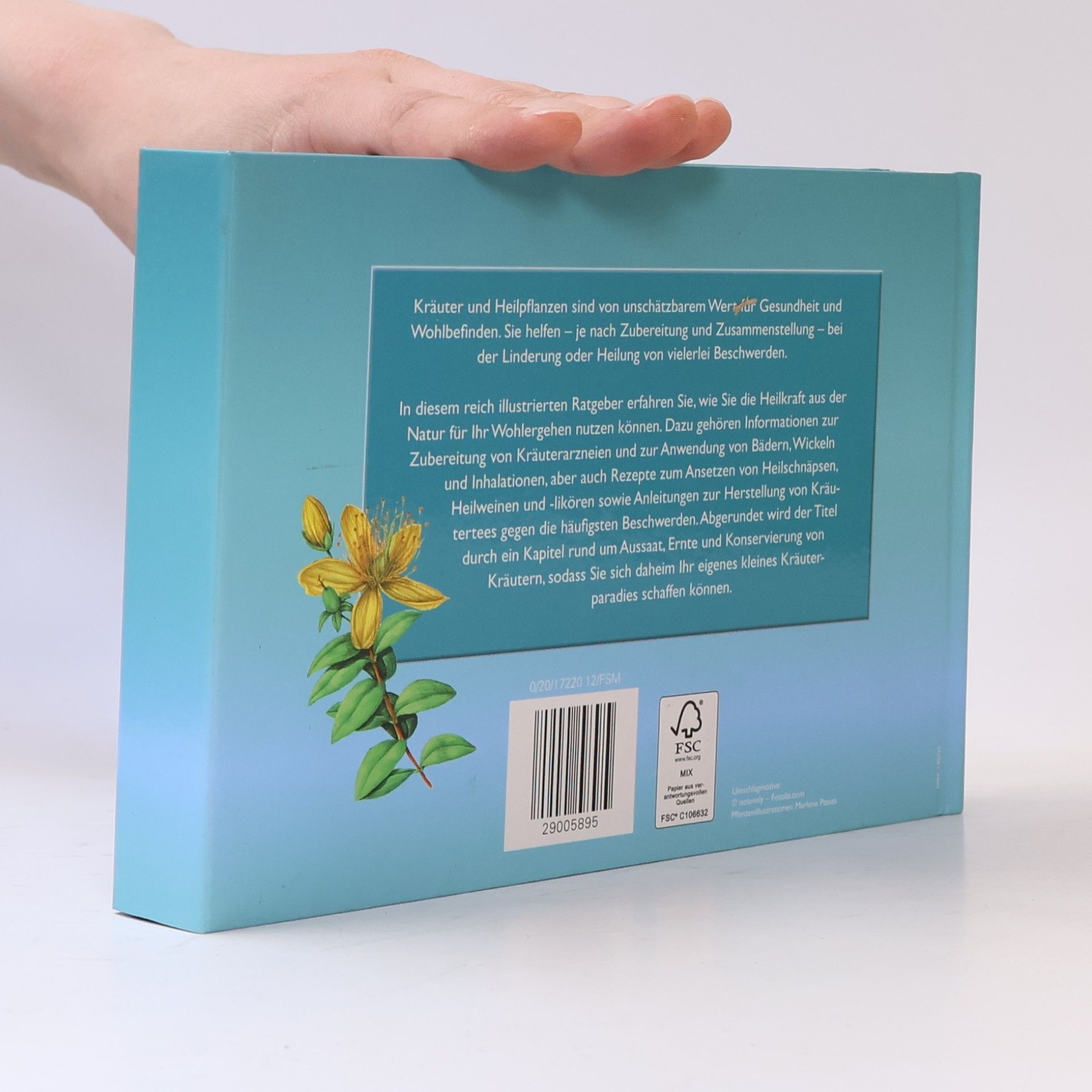 Autorenkollektiv Gesundheit aus der Kräuterapotheke