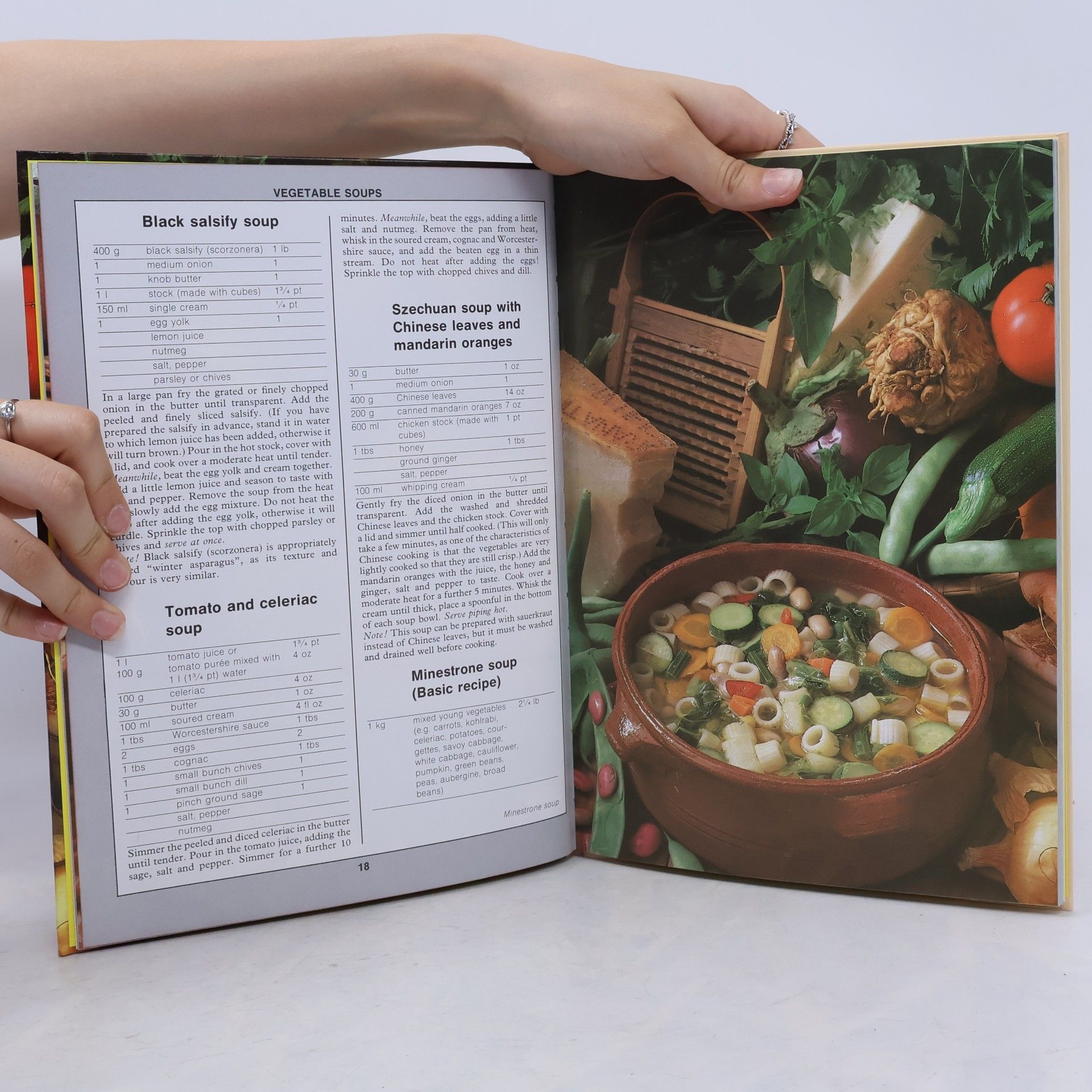 Mari Lajos 99 Soups