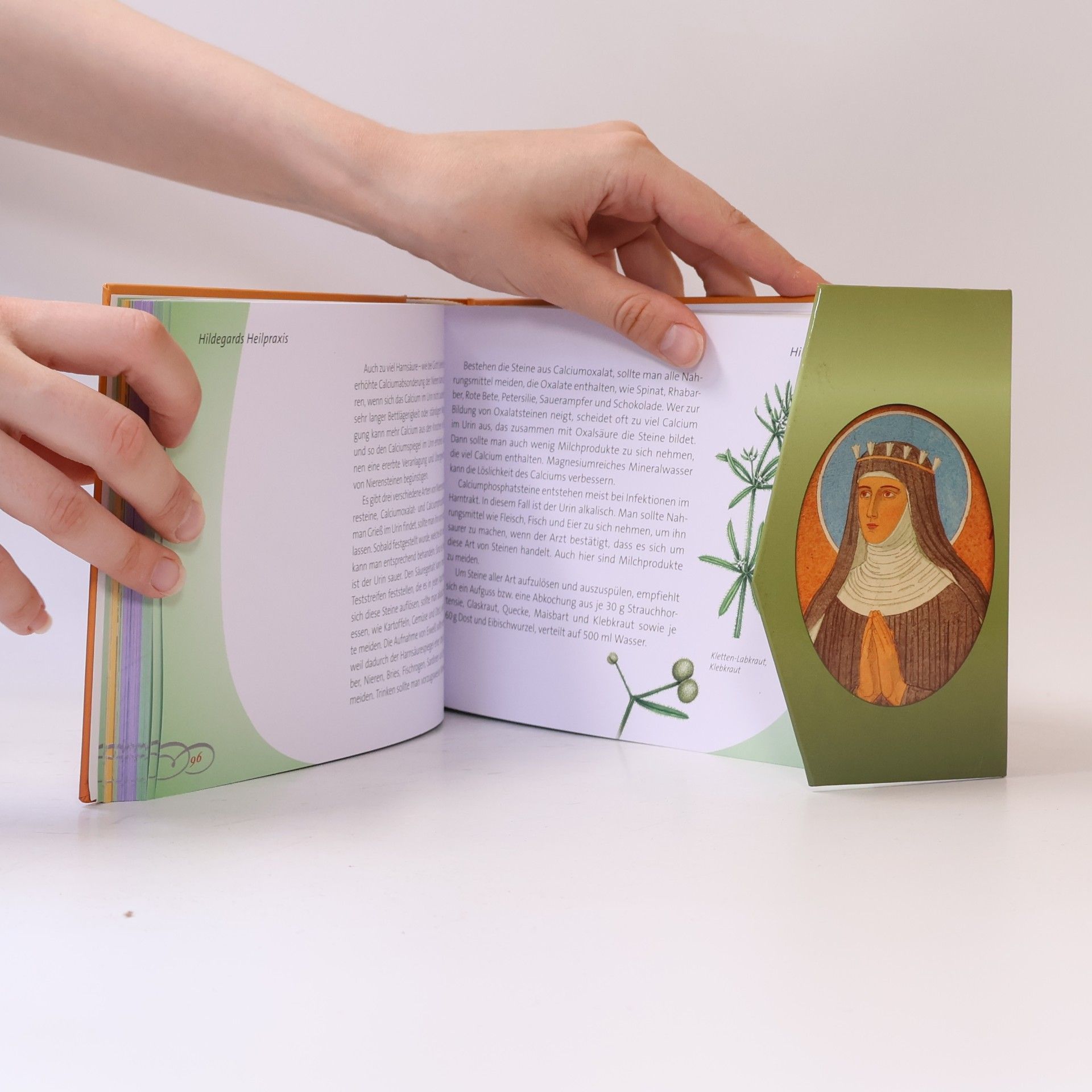 Autorenkollektiv Hildegard von Bingen - bewährtes Heilwissen für Gesundheit und Wohlbefinden