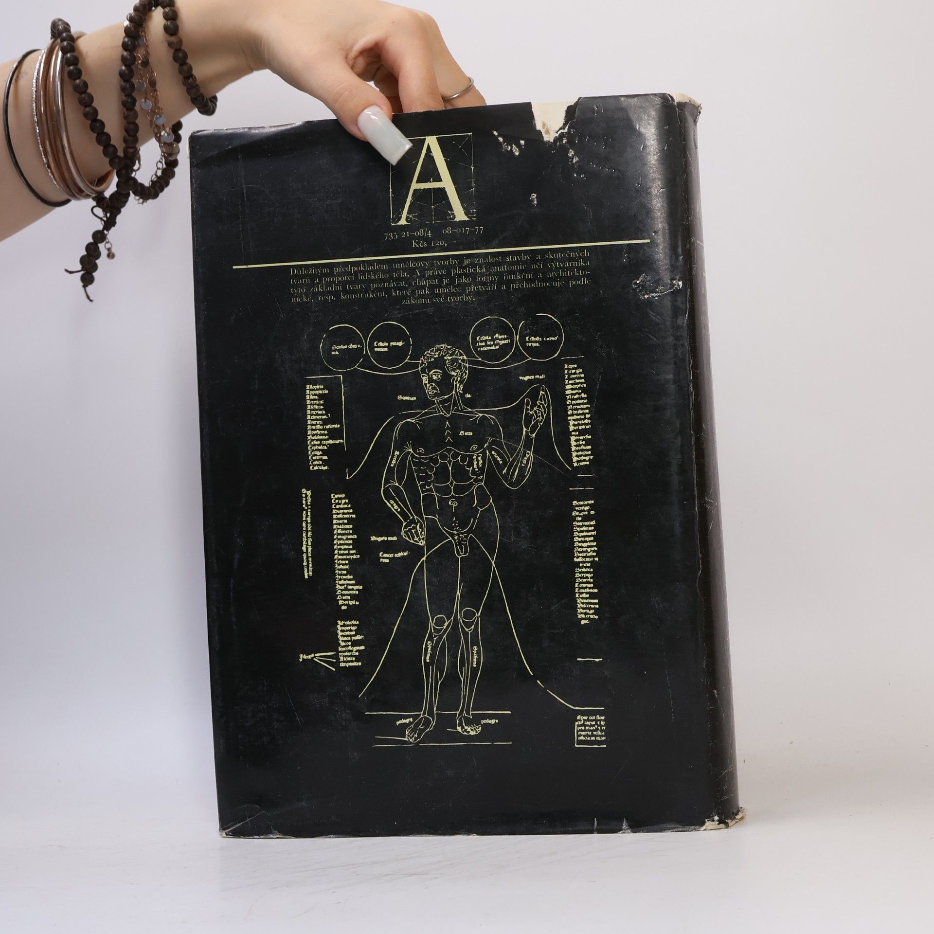 Josef Zrzavý Anatomie pro výtvarníky