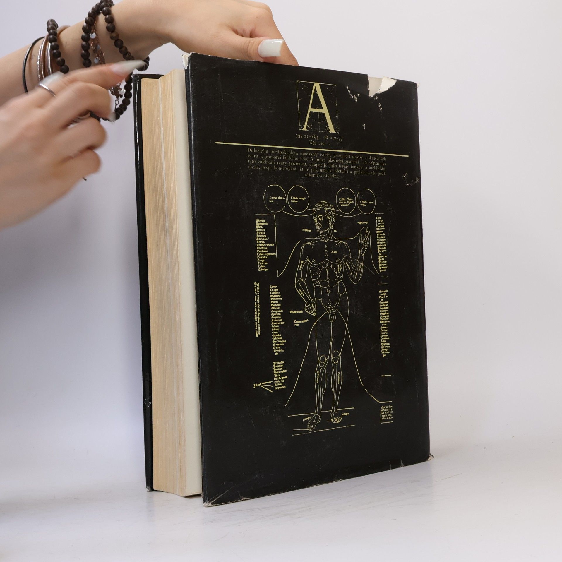 Josef Zrzavý Anatomie pro výtvarníky