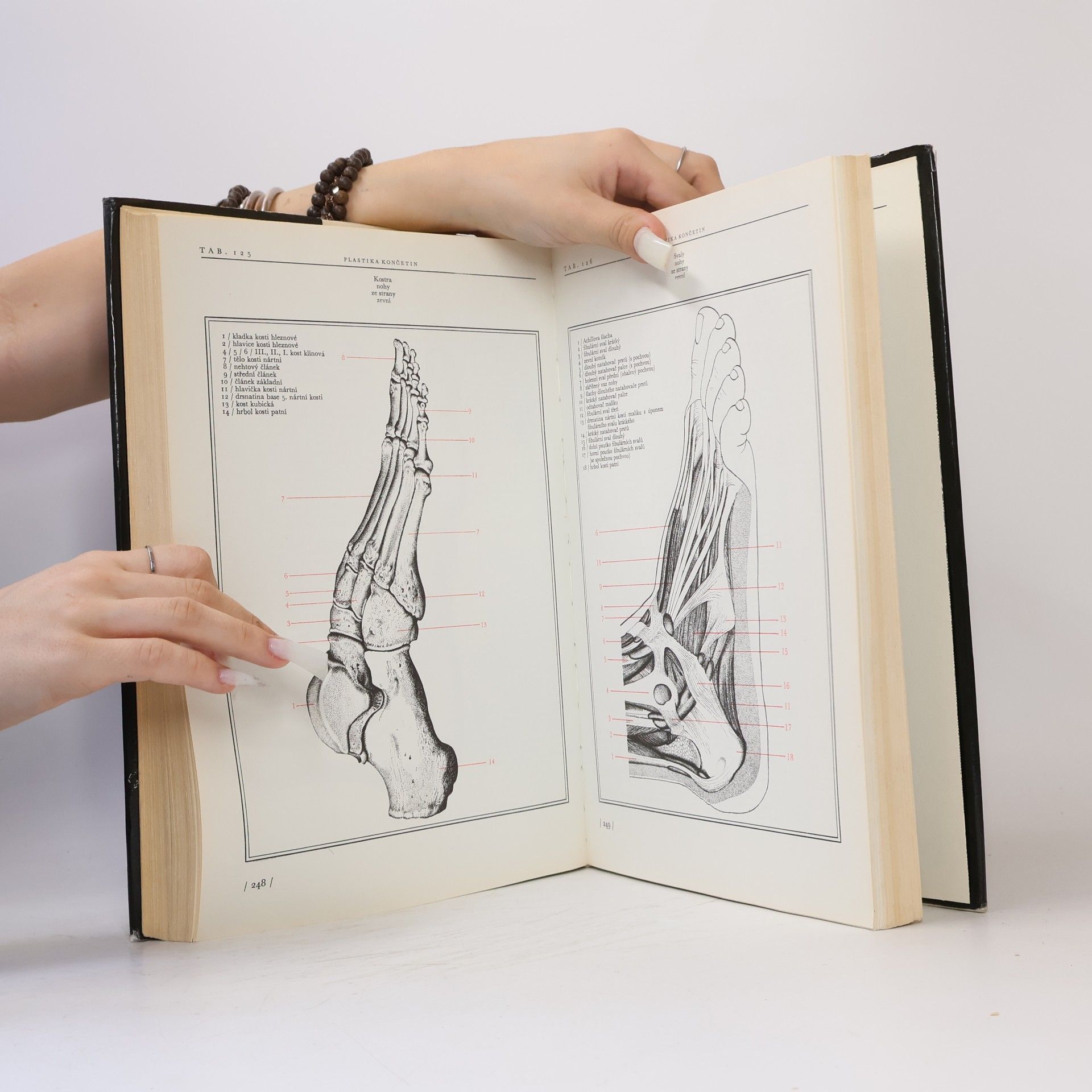 Josef Zrzavý Anatomie pro výtvarníky