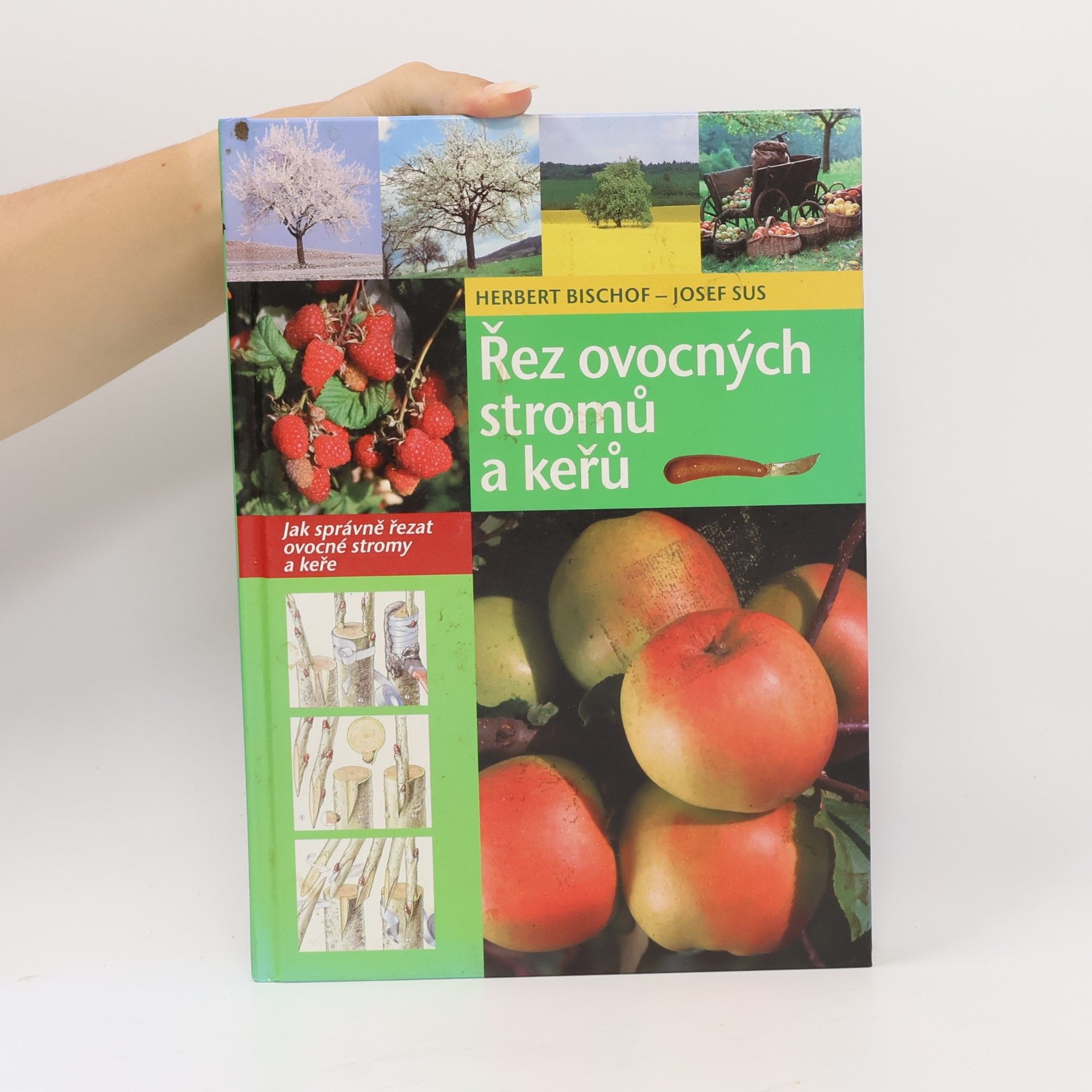 Herbert Bischof Řez ovocných stromů a keřů