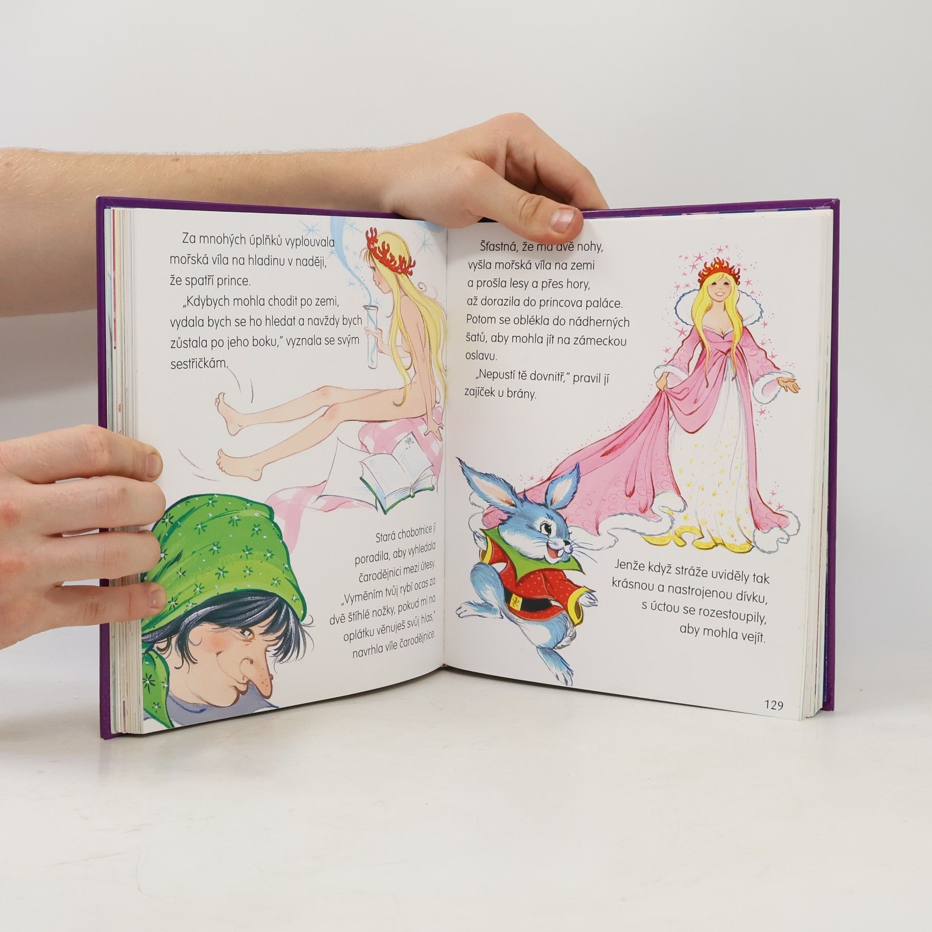 Hans Christian Andersen Pohádky H.Ch. Andersena, Ch. Perraulta, bratří Grimmů