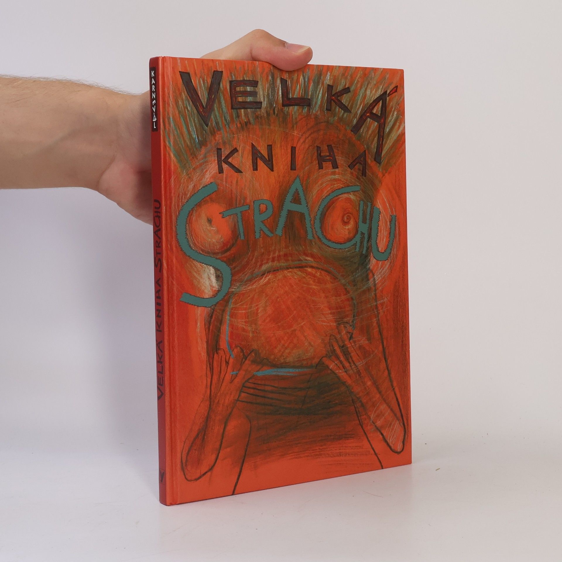 Veronika Bohatá Velká kniha strachu