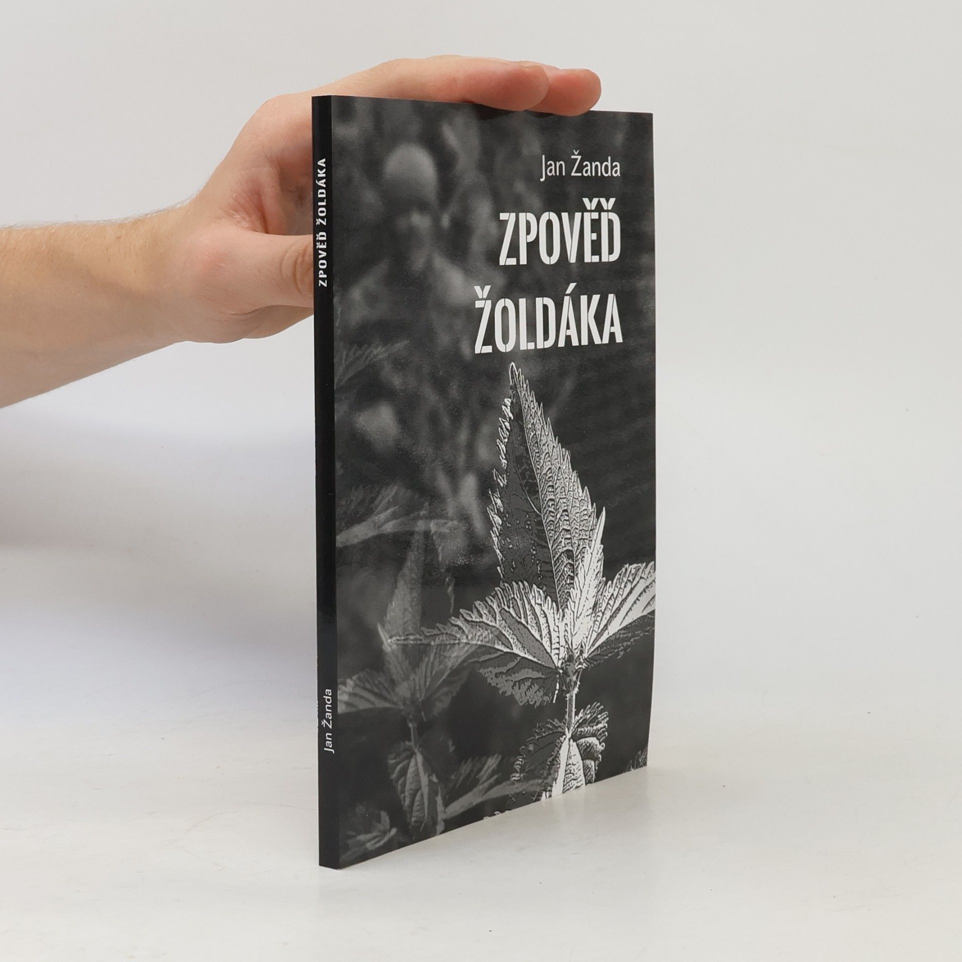 Zpověď žoldáka