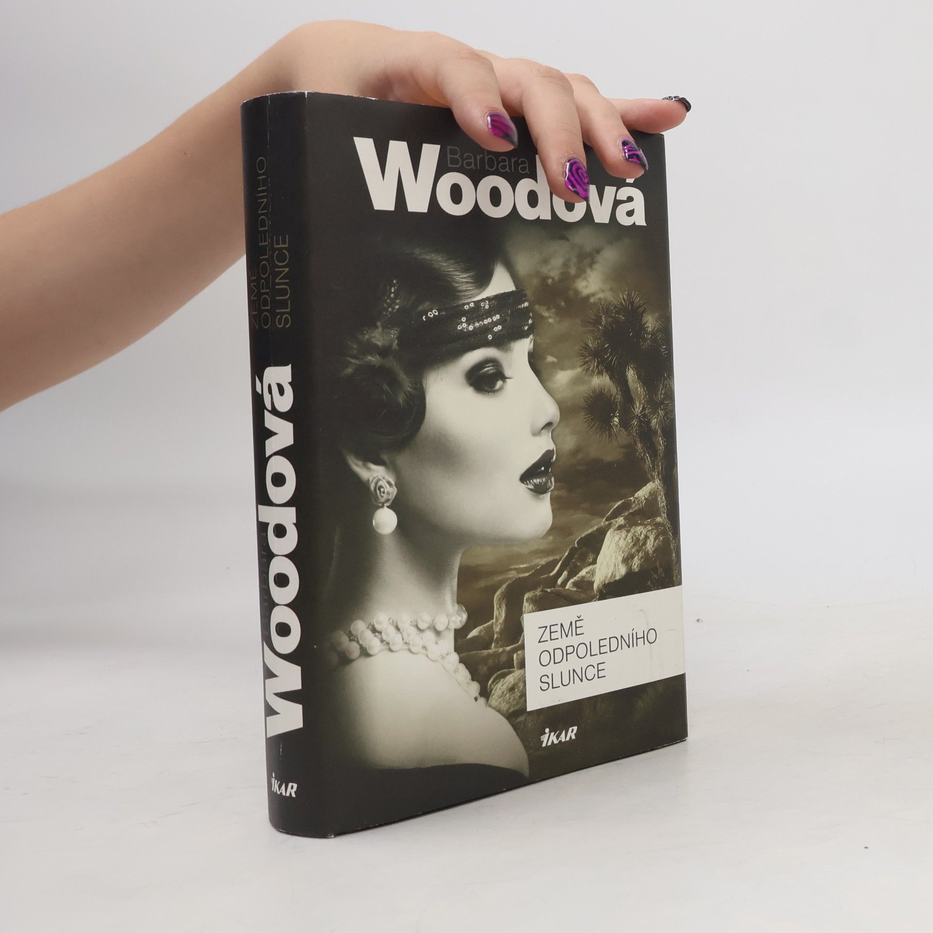 Barbara Wood Země odpoledního slunce