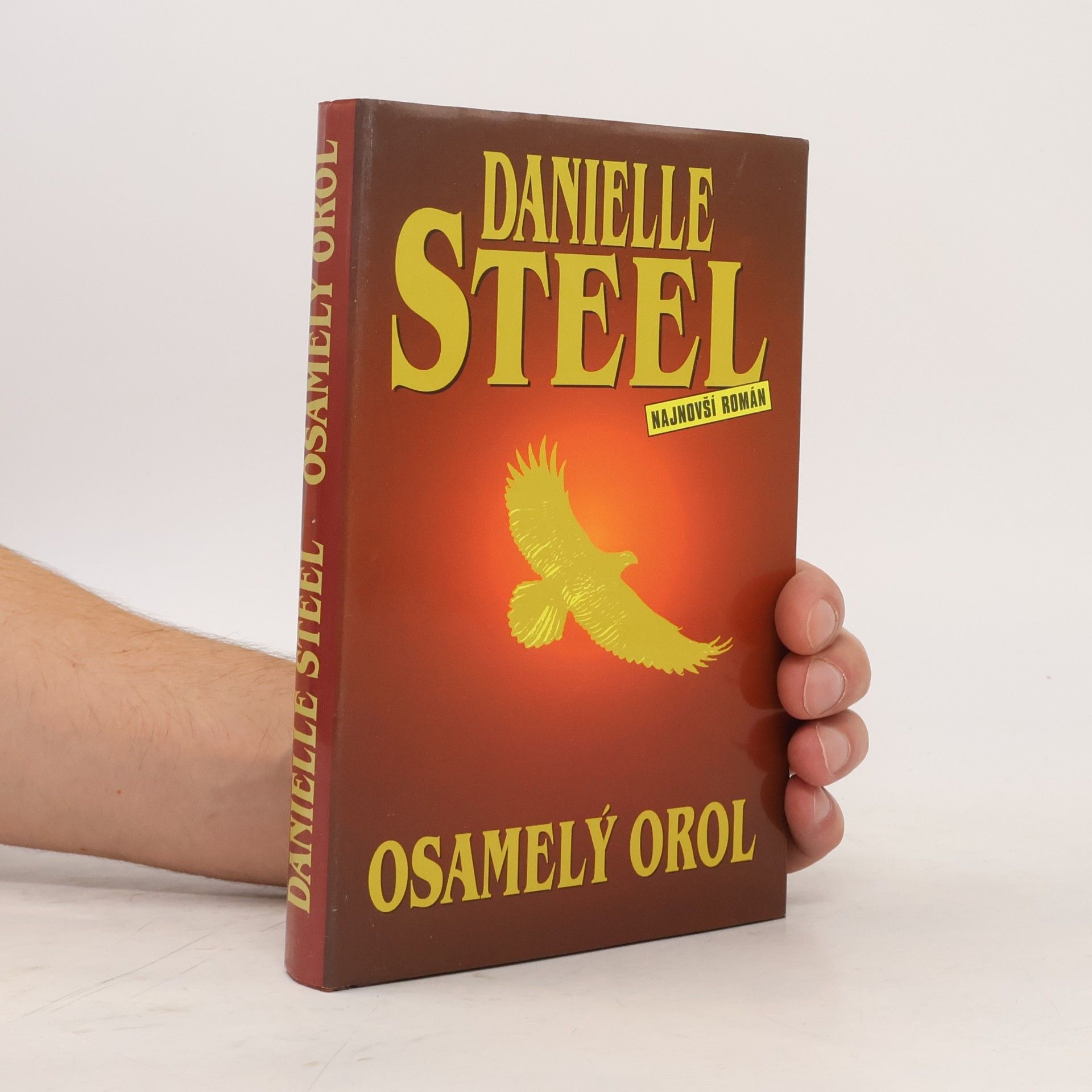 Danielle Steelová Osamelý orol