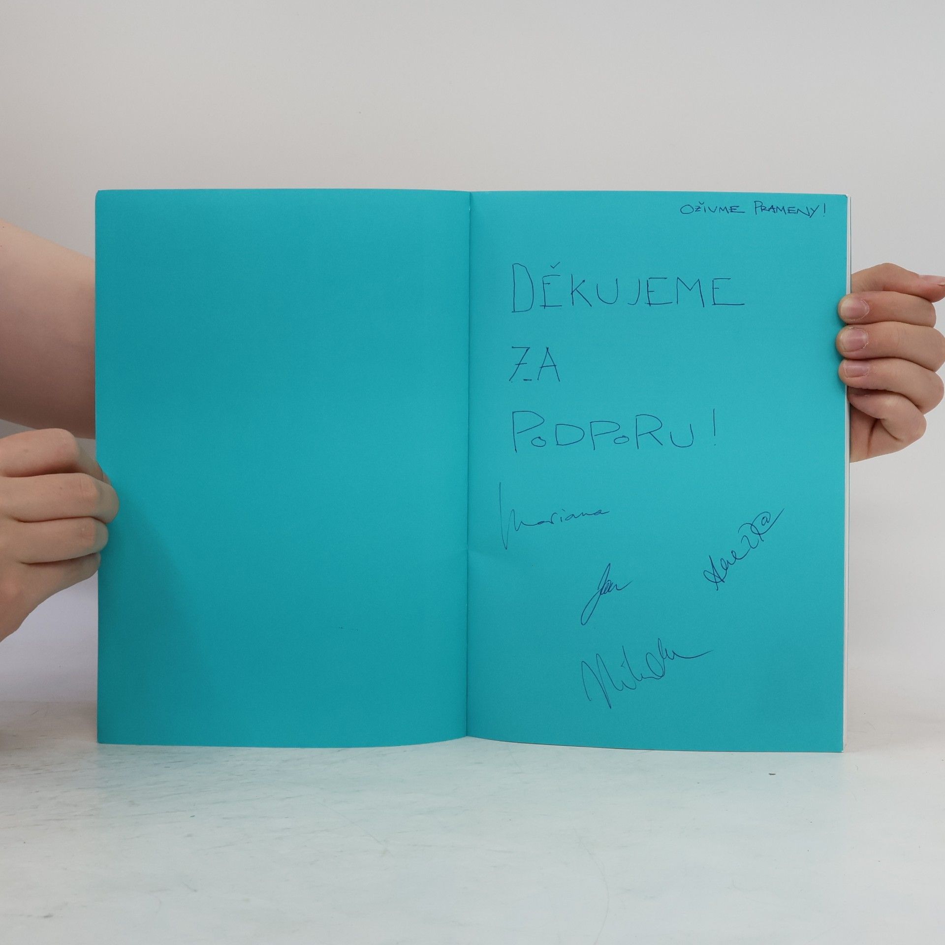Tereza Lišková Material Times 1/2016