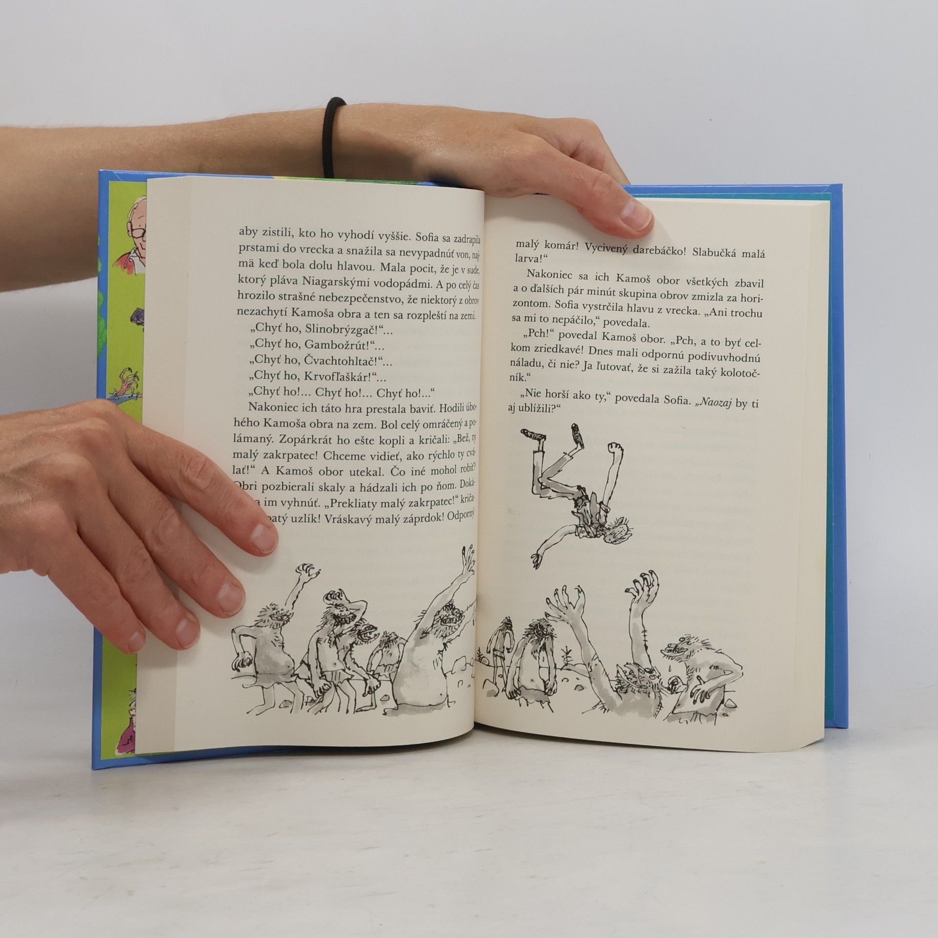 Roald Dahl Kamoš obor