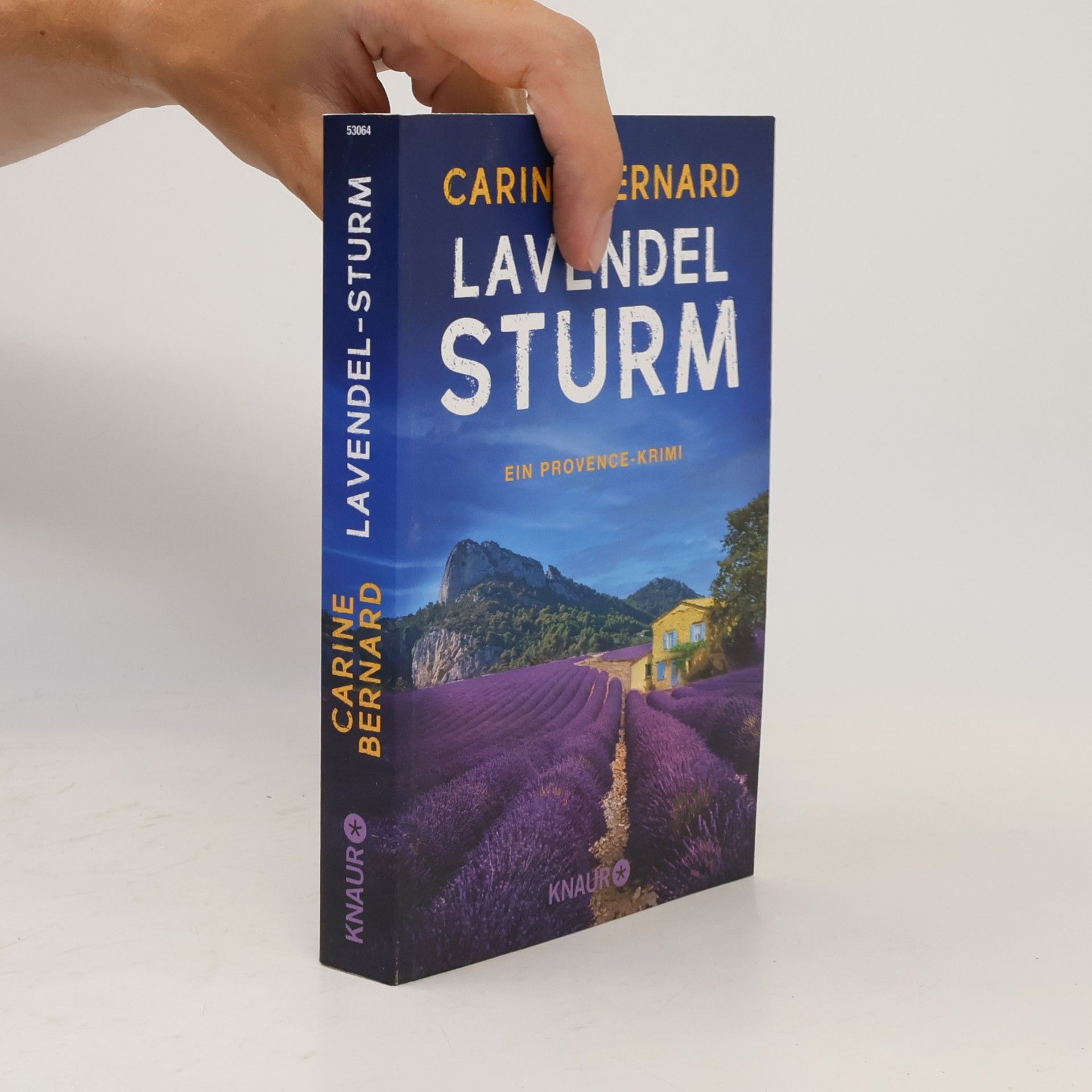 Carine Bernard Lavendel-Sturm
