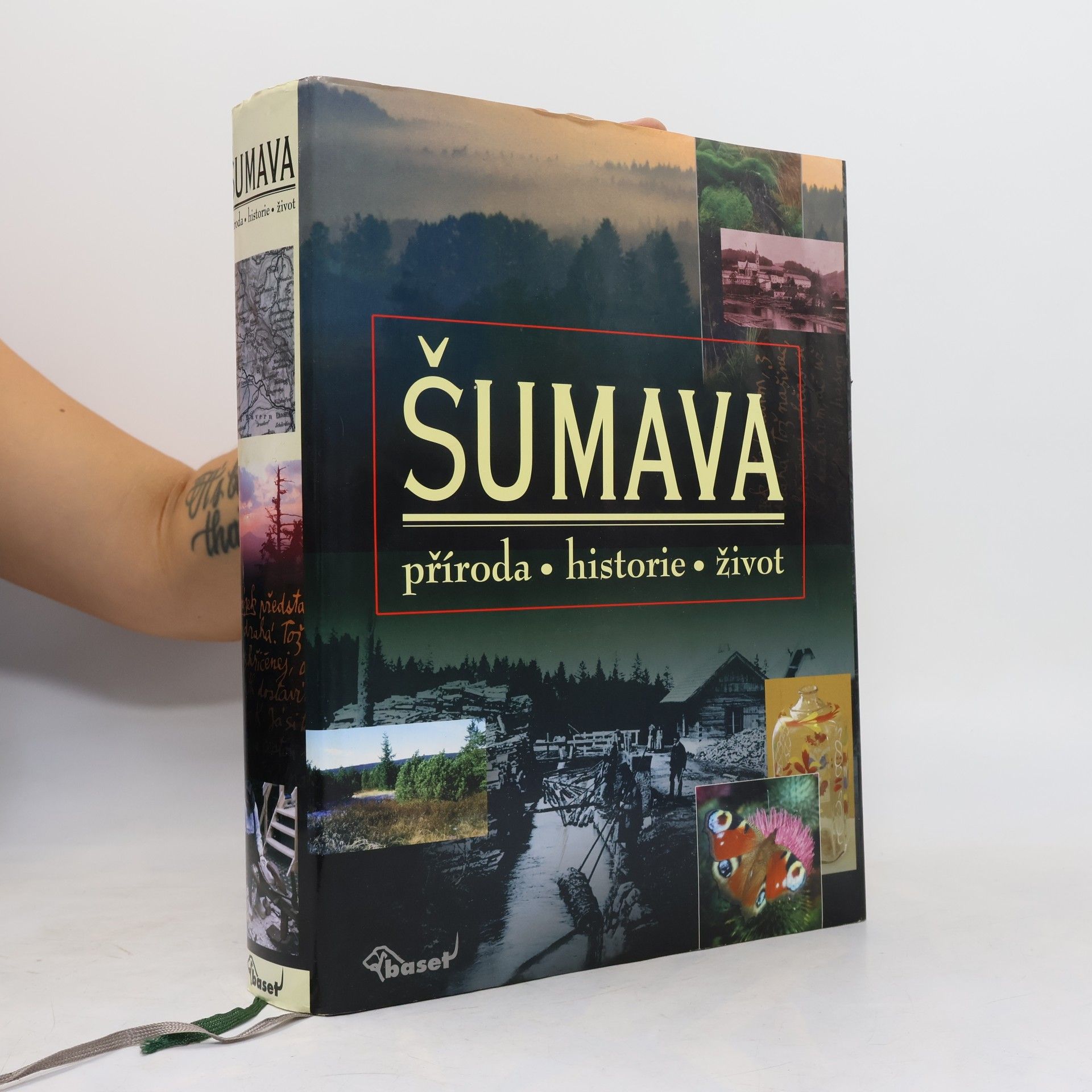 AA.VV. Šumava. Příroda, historie, život