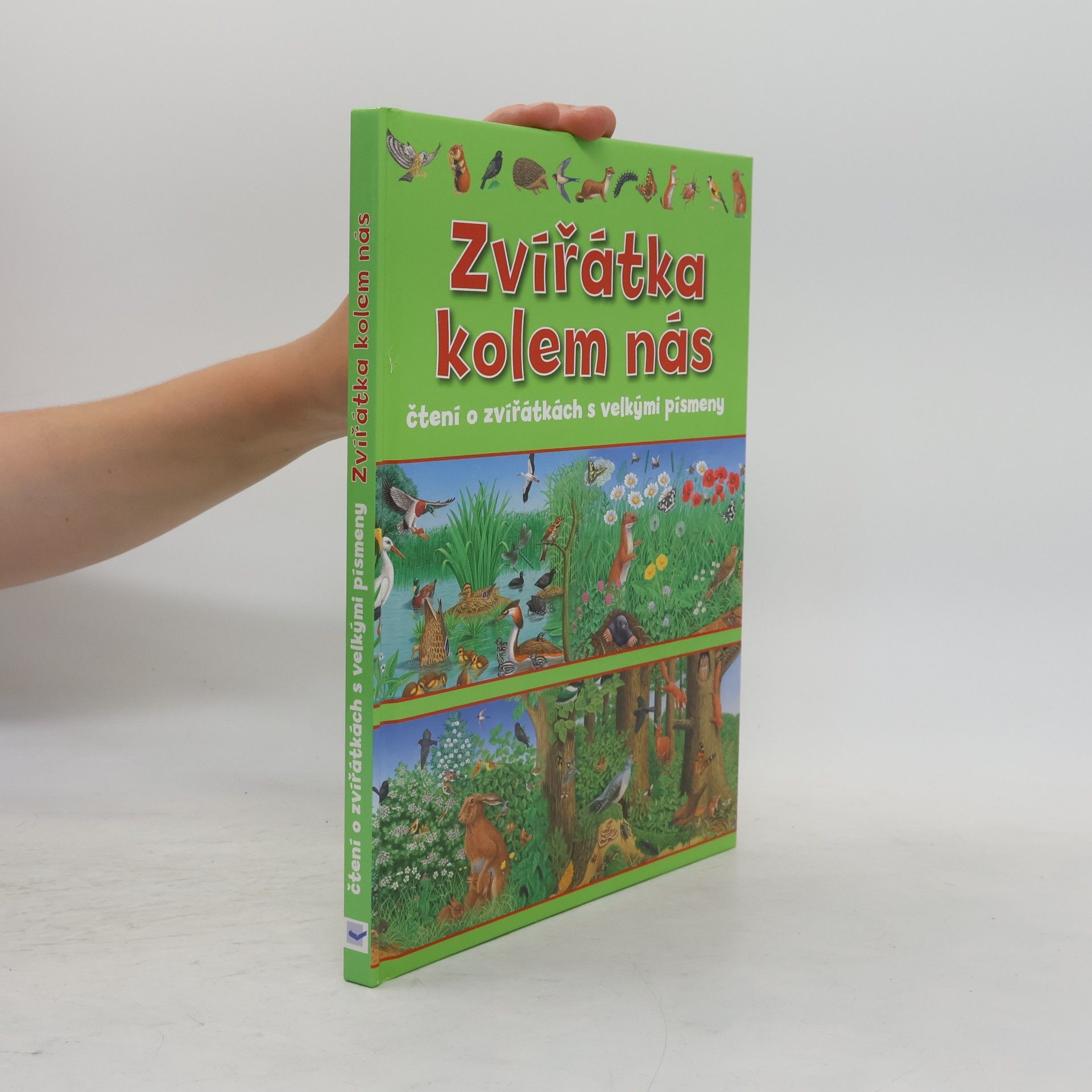 Kolektiv autorů Zvířátka kolem nás : čtení o zvířátkách s velkými písmeny