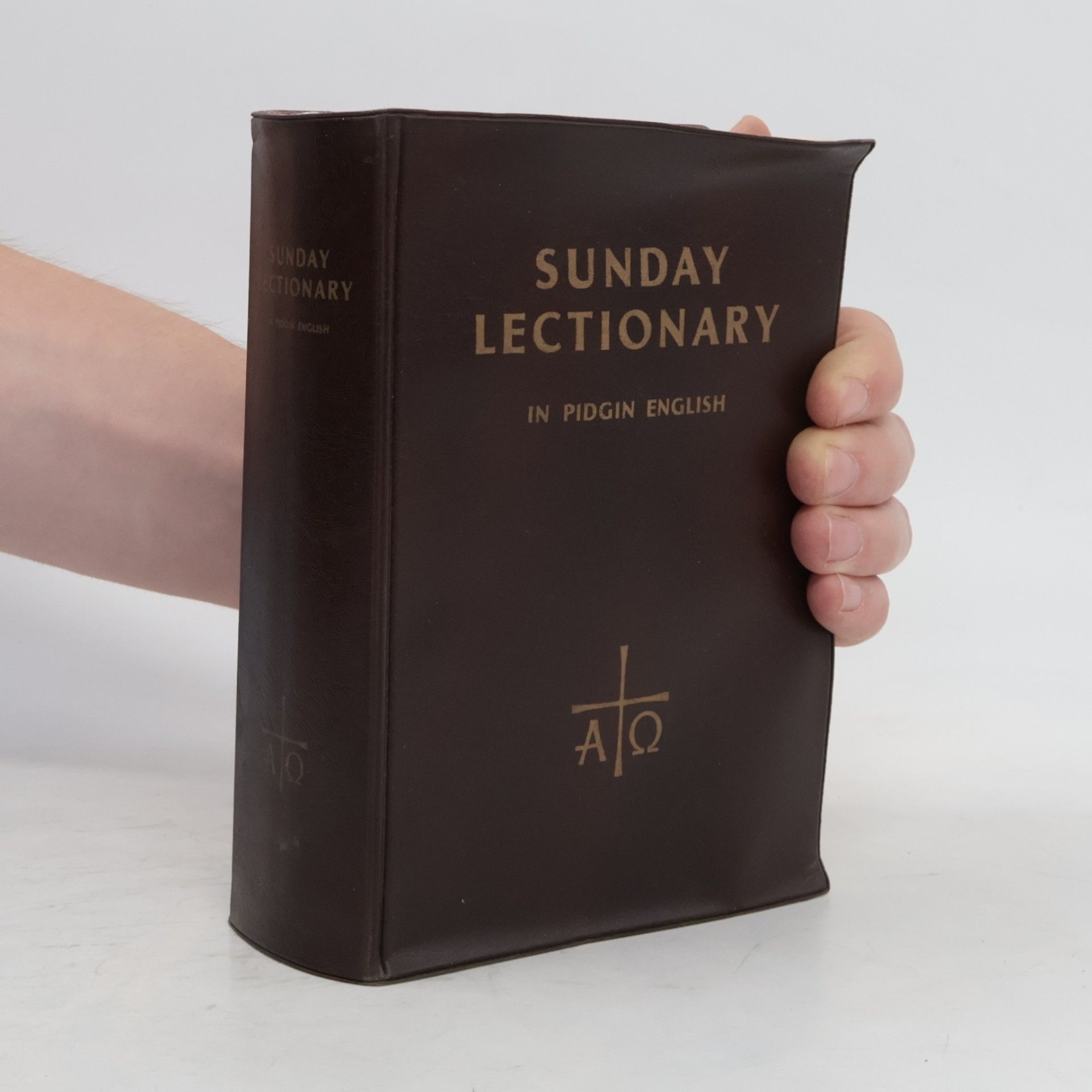 Autorenkollektiv Sunday Lectionary in Pidgin English