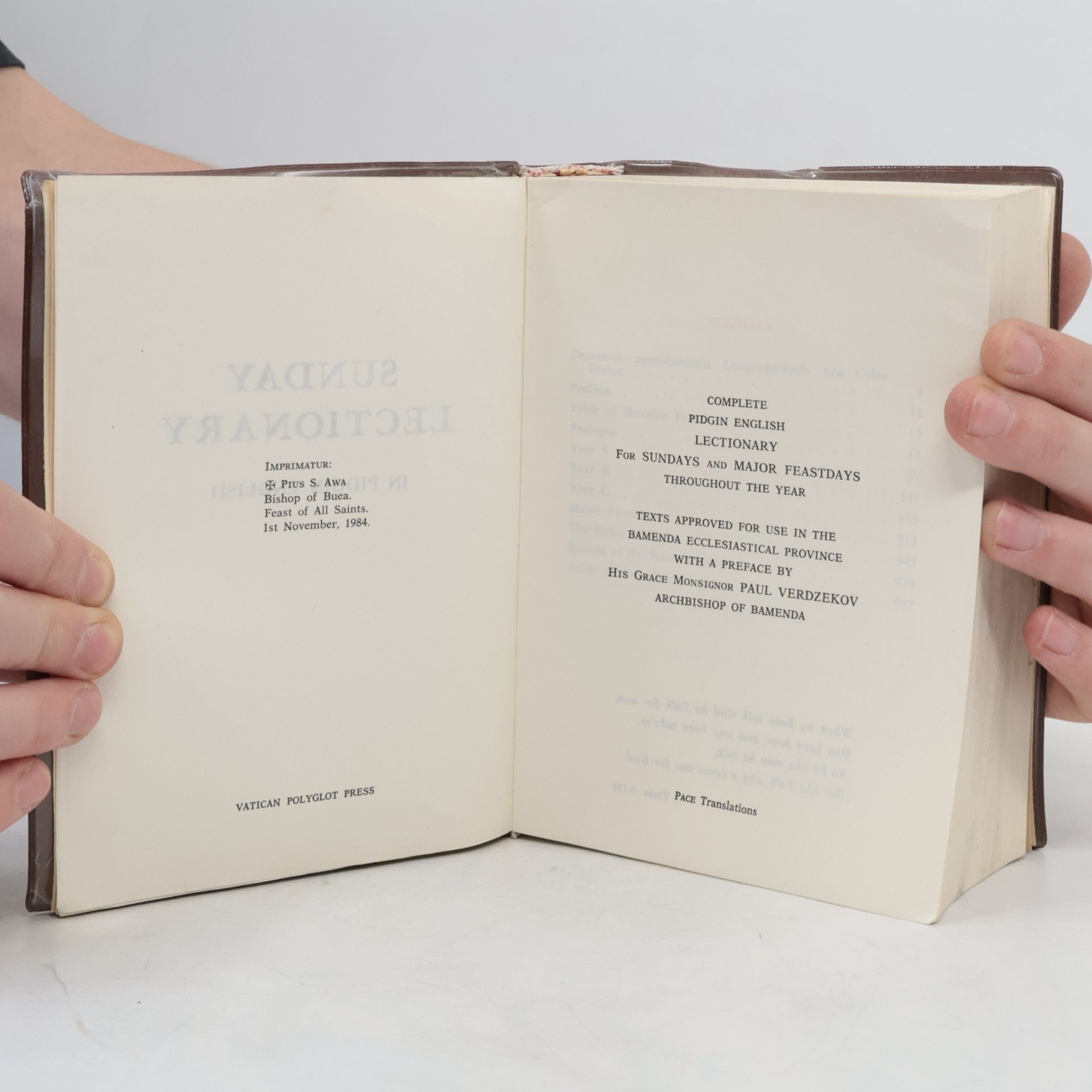 Autorenkollektiv Sunday Lectionary in Pidgin English