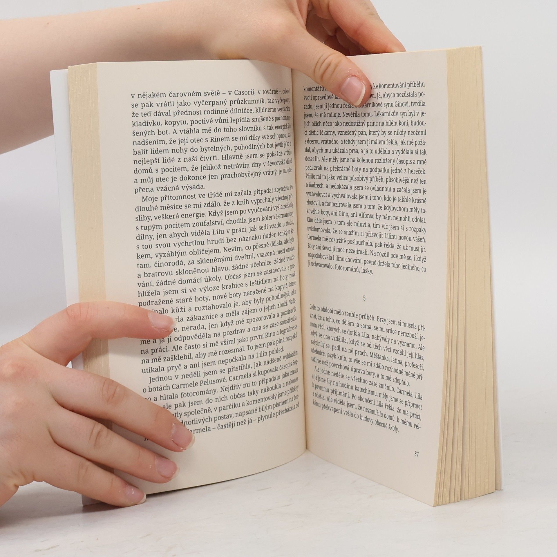 Elena Ferrante Geniální přítelkyně 1. Dětství a dospívání