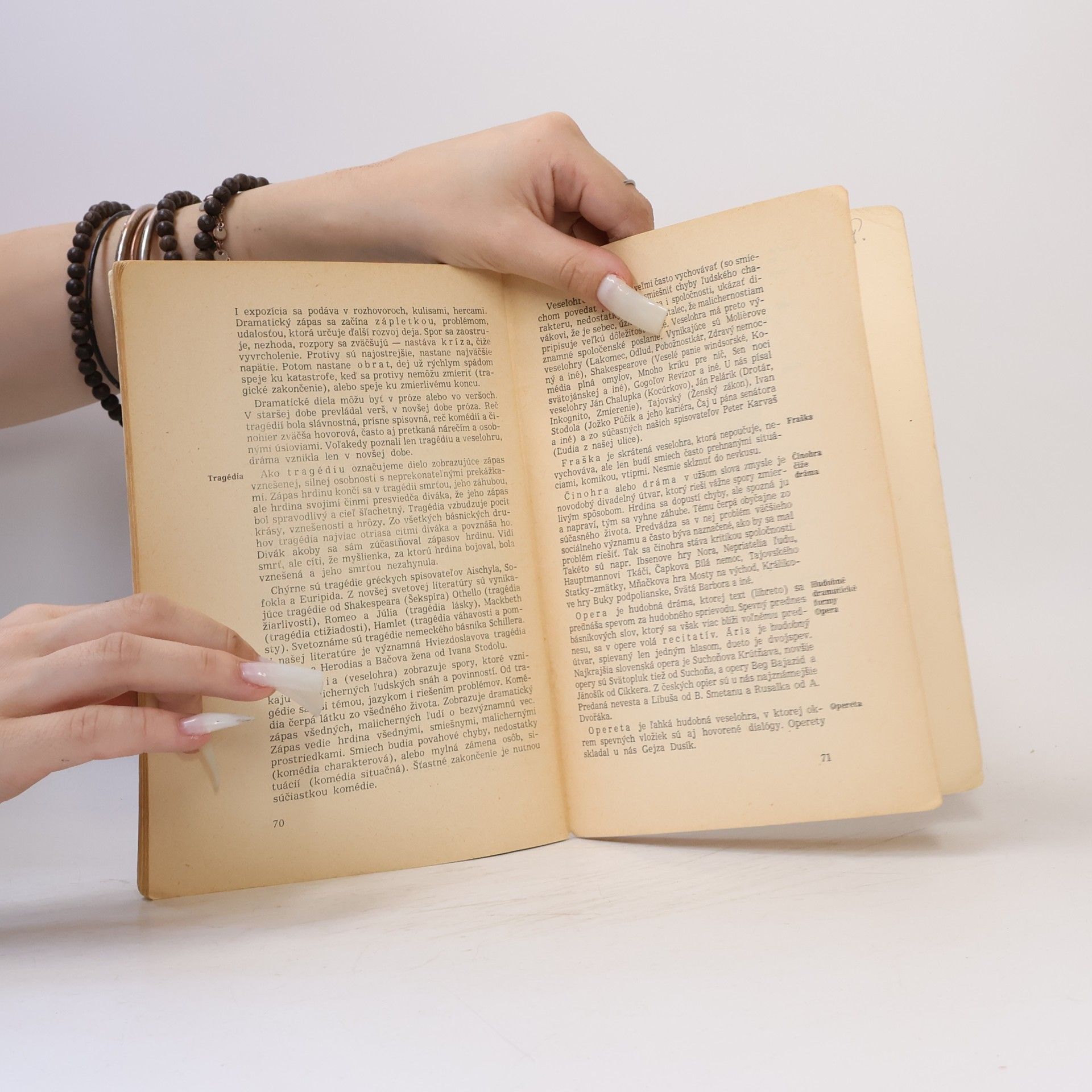 Kolektiv autorů Základy teórie literatúry