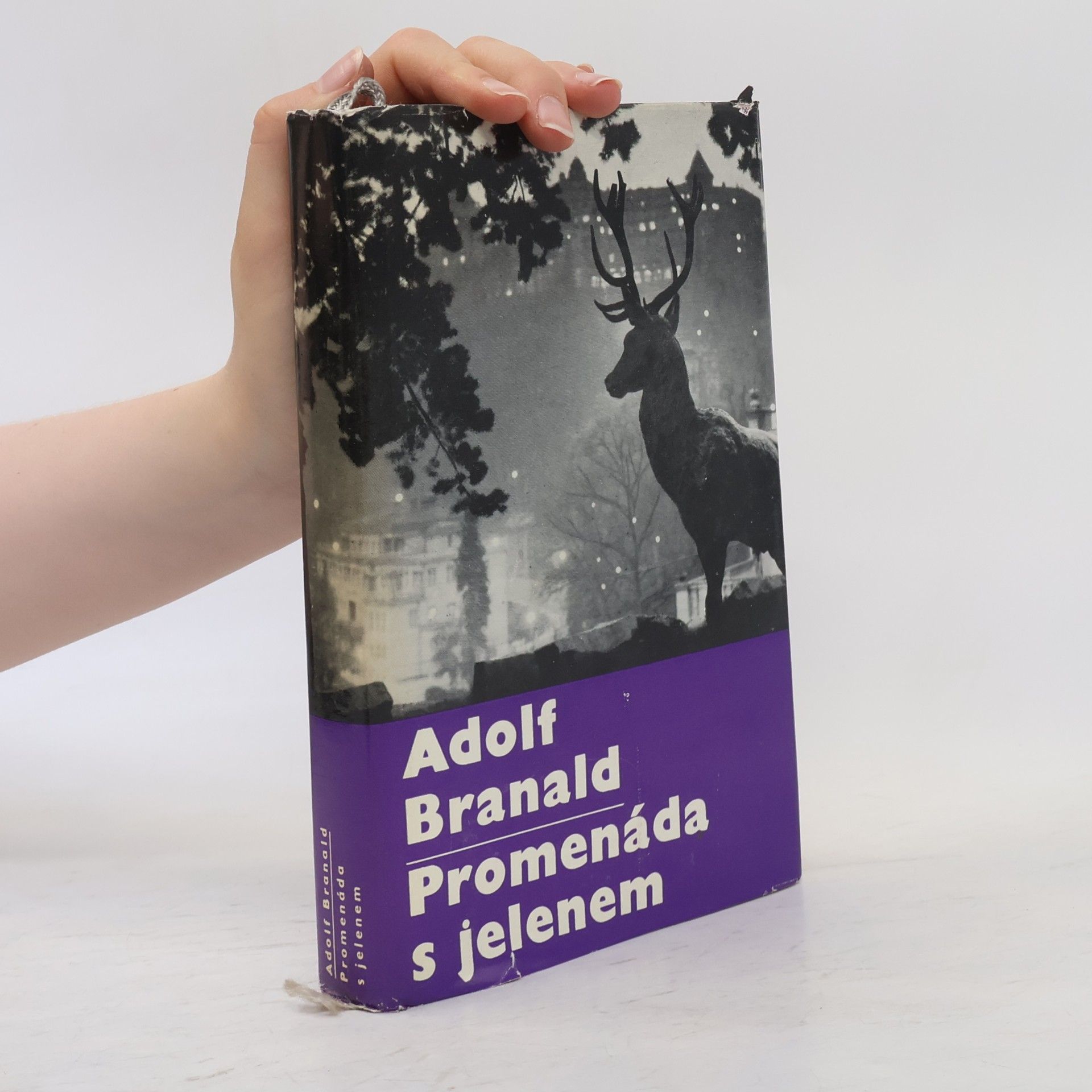 Adolf Branald Promenáda s jelenem