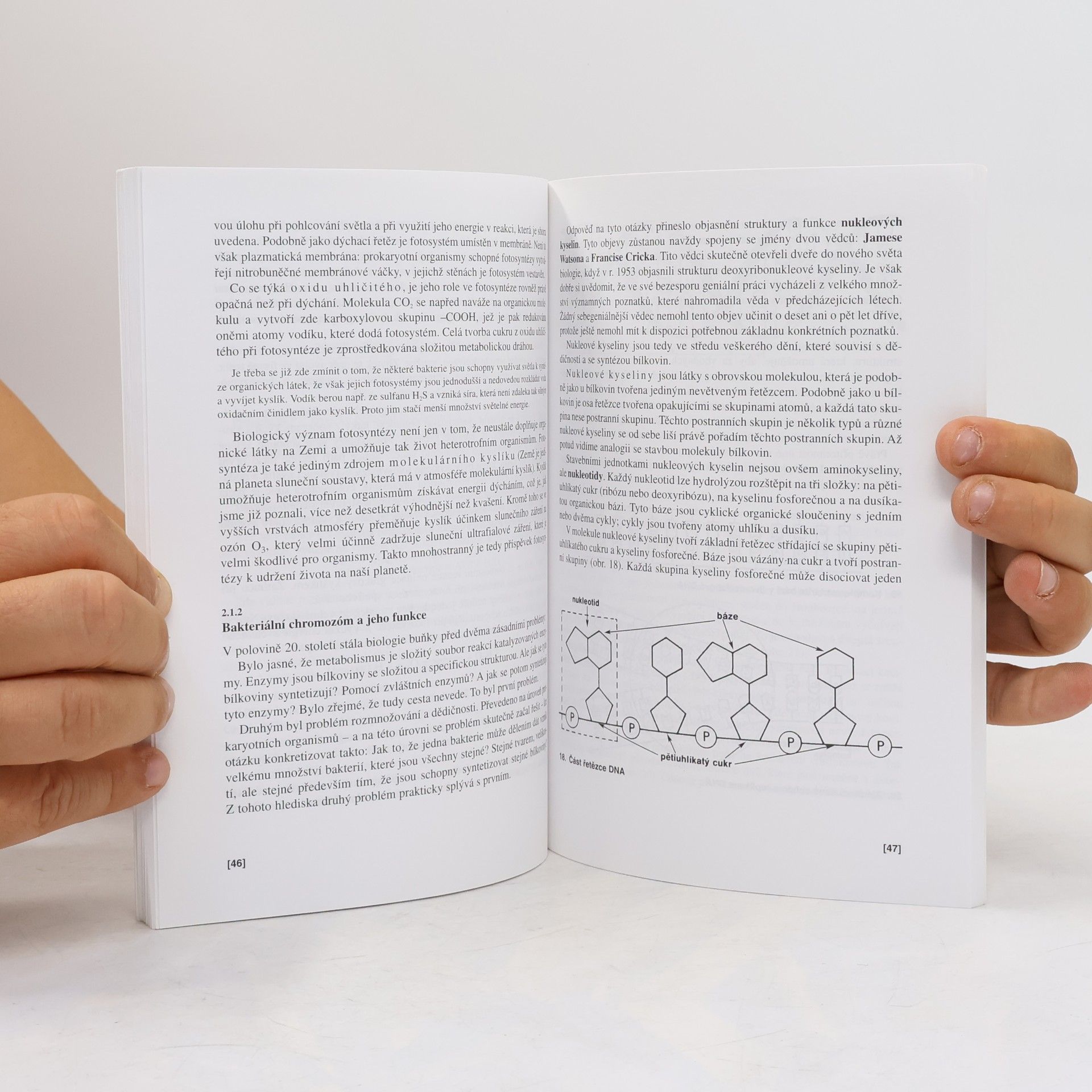 Václav Kubišta Obecná biologie. Úvodní učební text biologie pro 1. ročník gymnázií