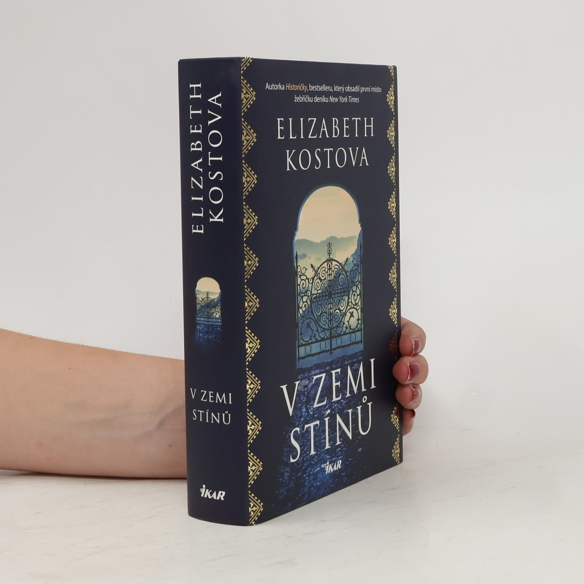 V zemi stínů