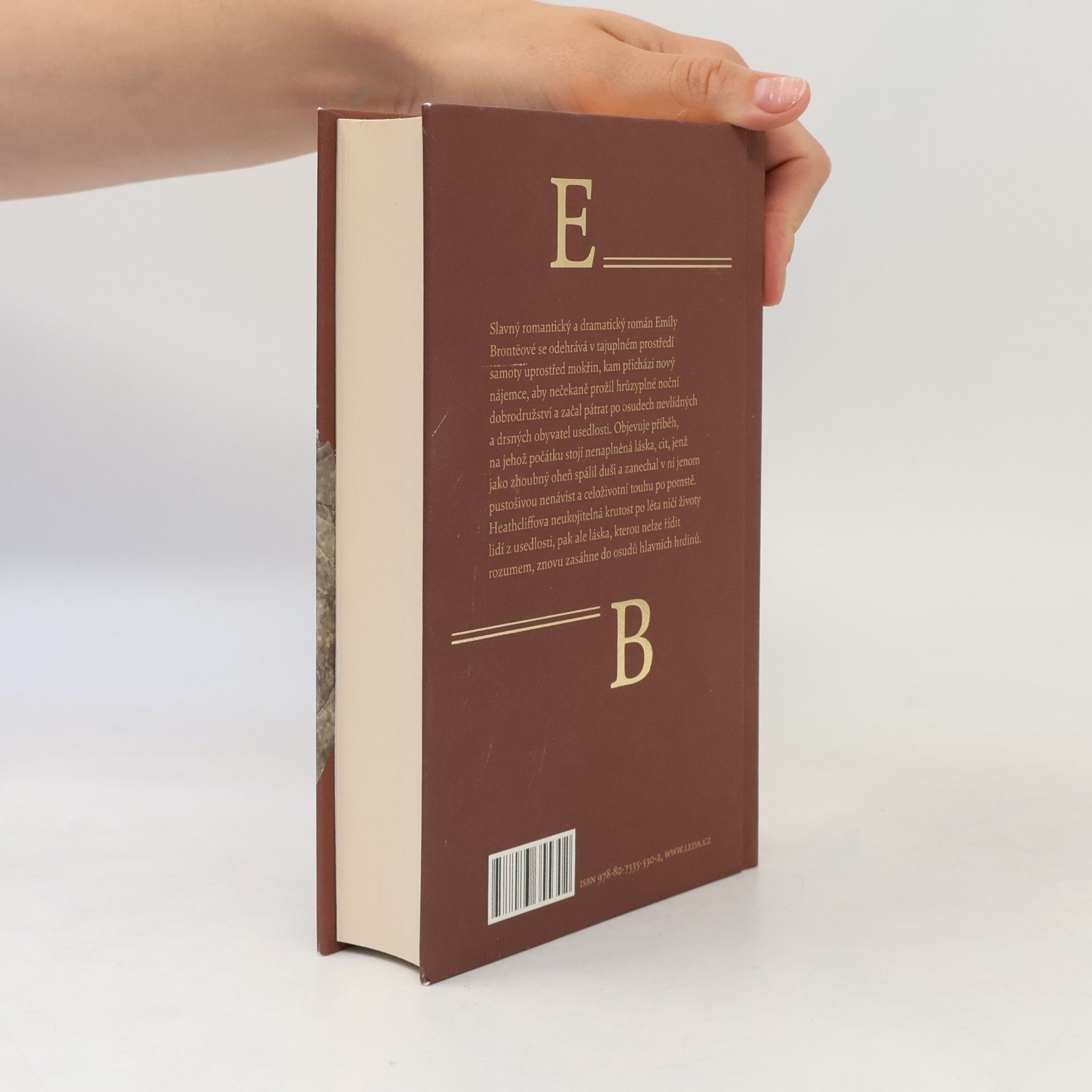 Emily Brontë Na Větrné hůrce