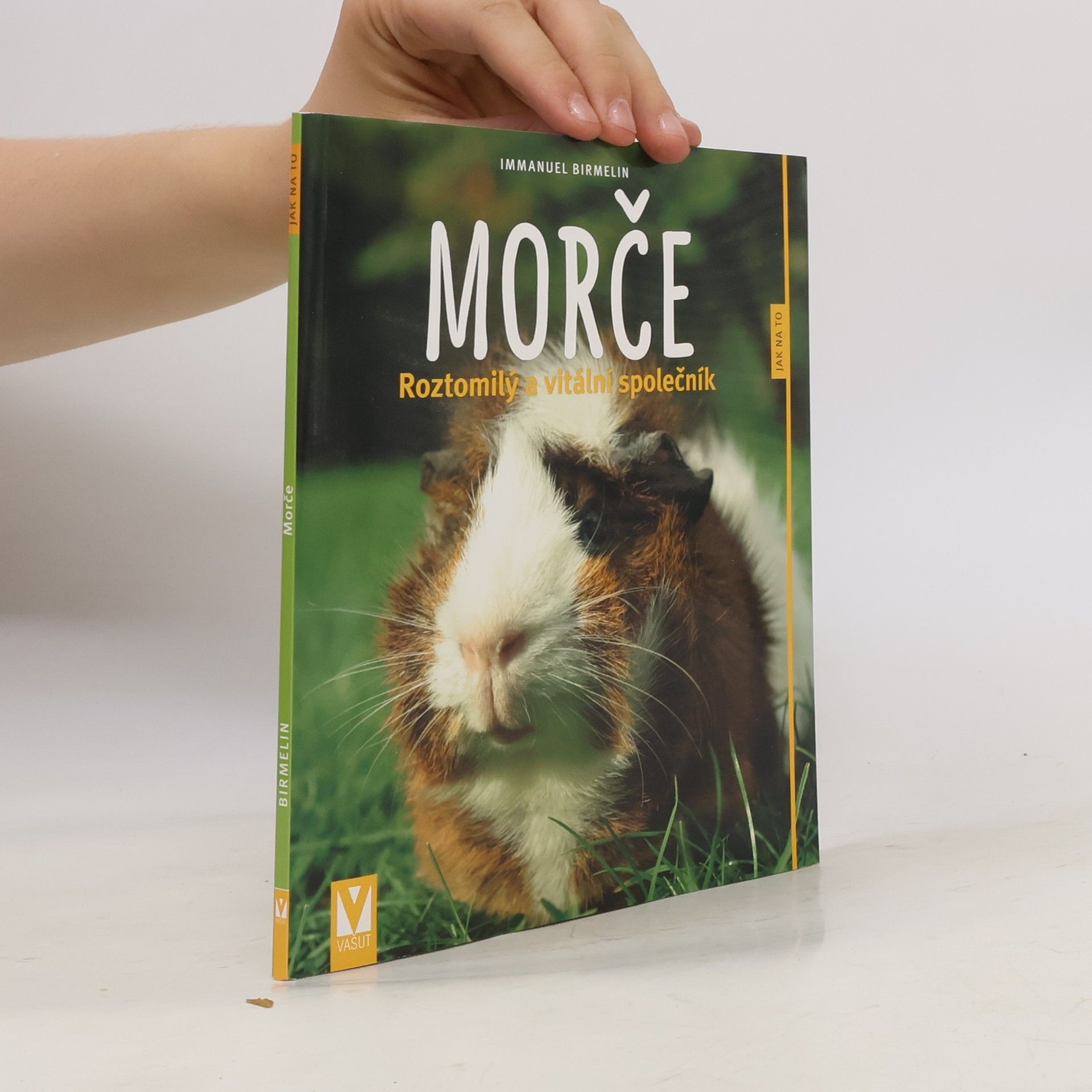Immanuel Birmelin Morče. Roztomilý a vitální společník