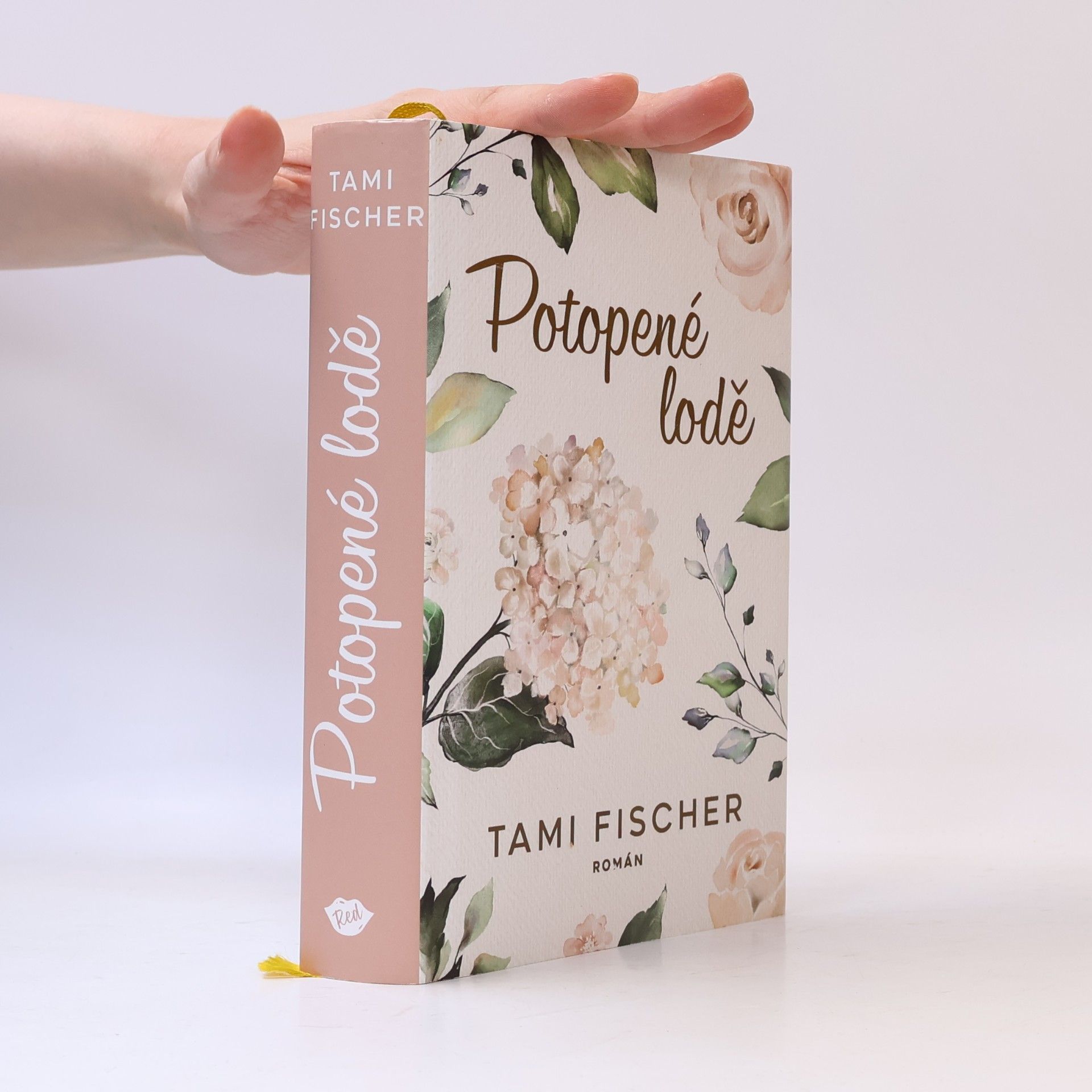 Tami Fischer Potopené lodě